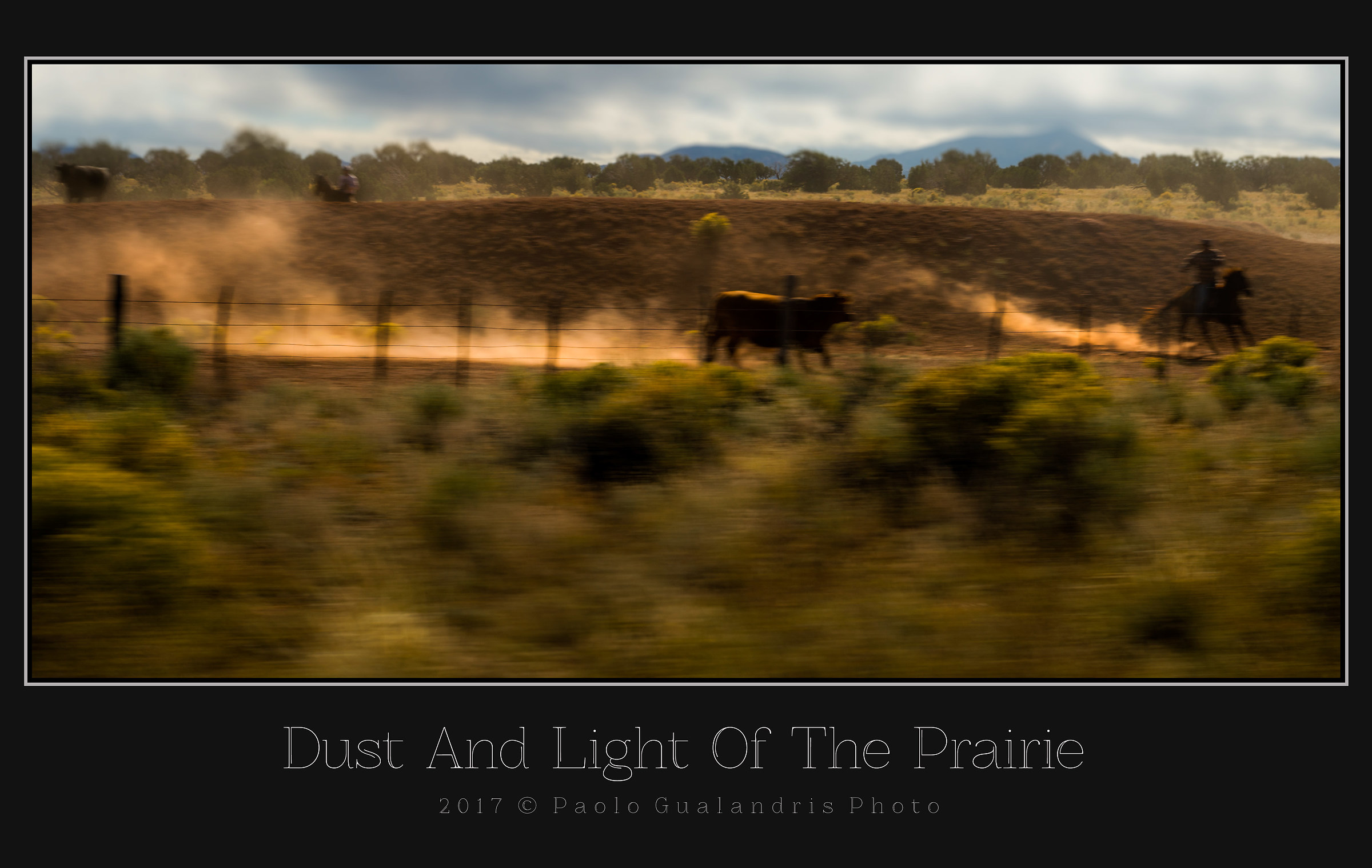 Dust And Light Of The Prairie