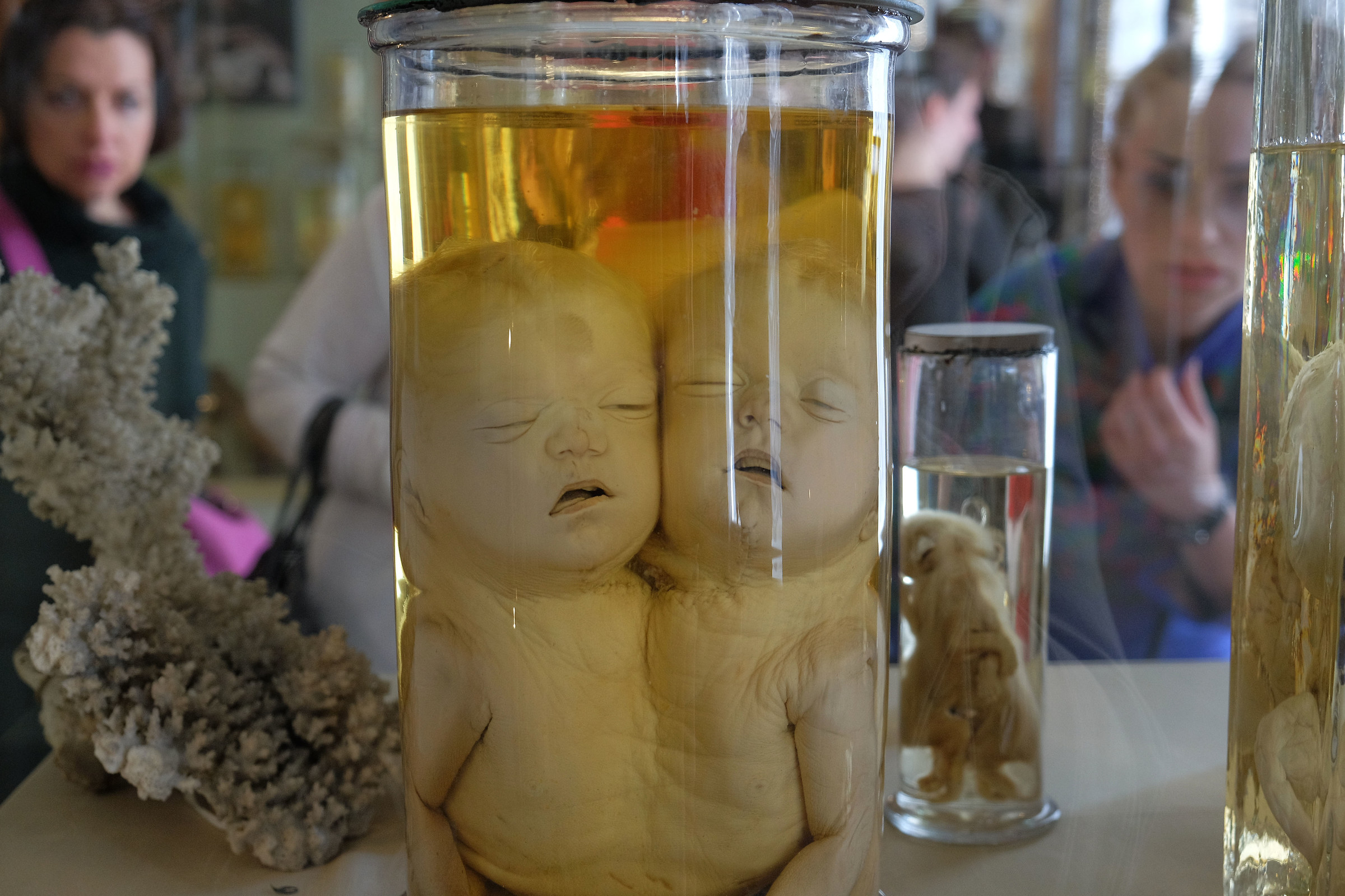 Museo Kunstkamera - San Pietroburgo