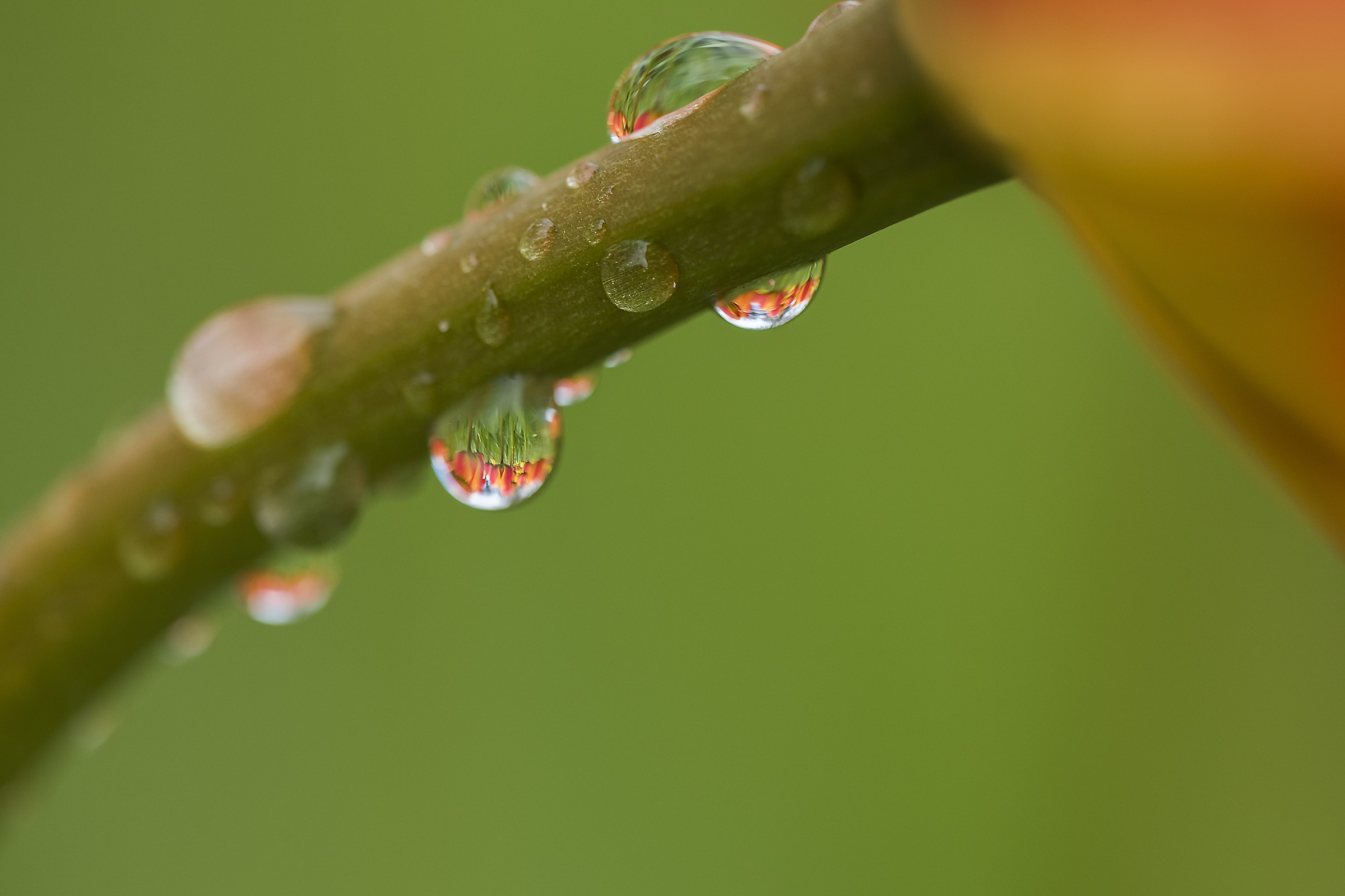 Netherlands April 2017