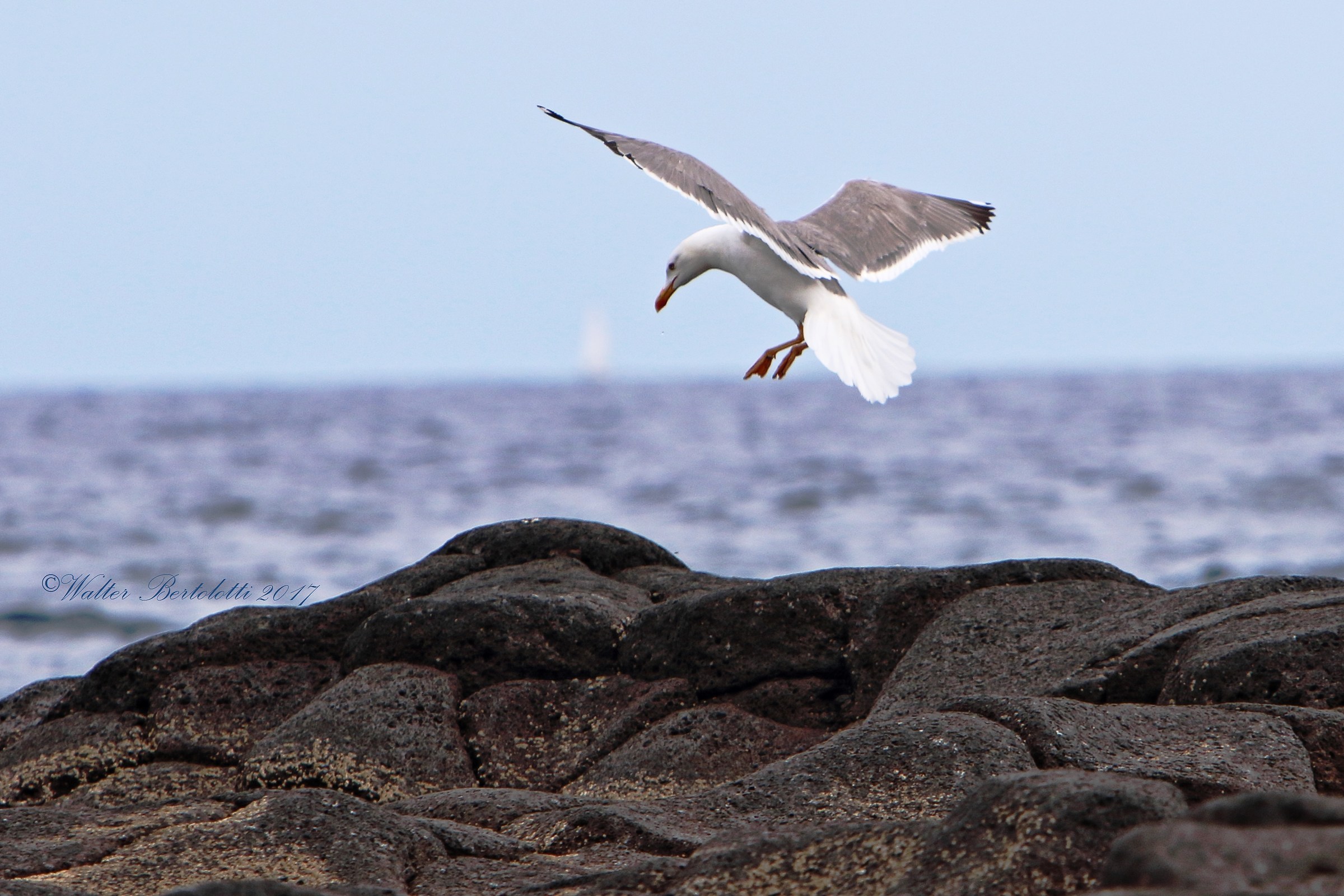 Counterattack landing