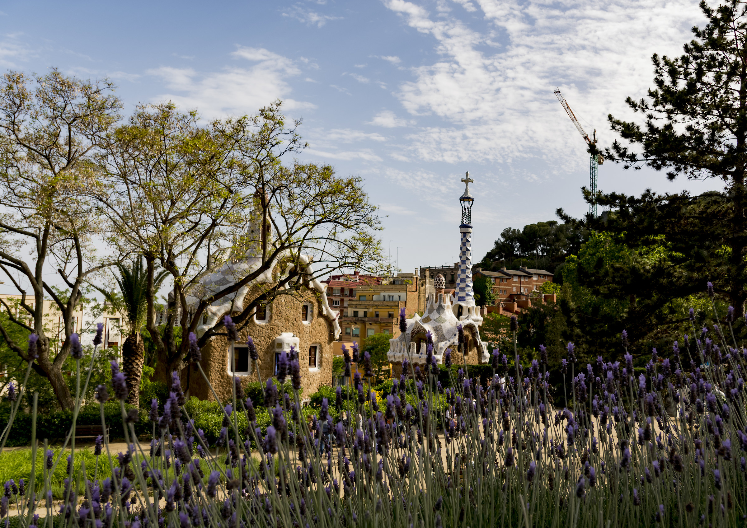 Freschezza in città