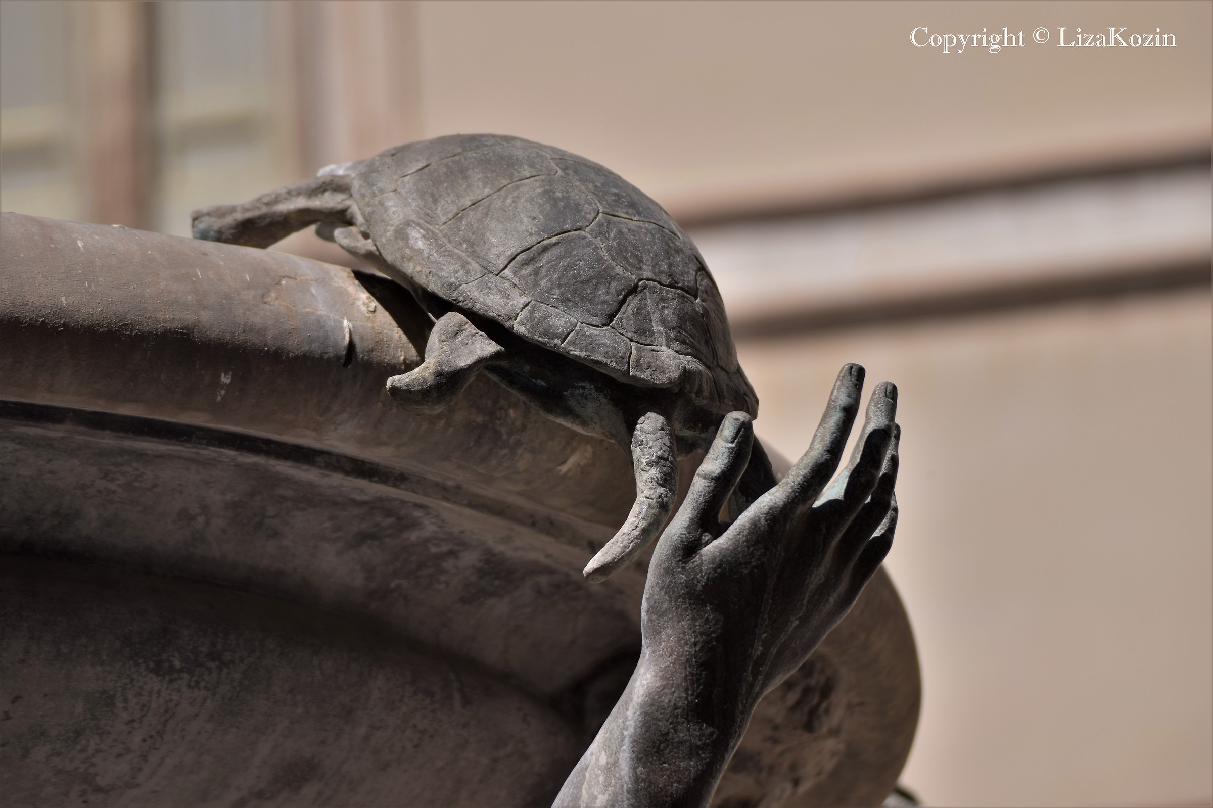 Piazza Mattei - Turtle Fountain