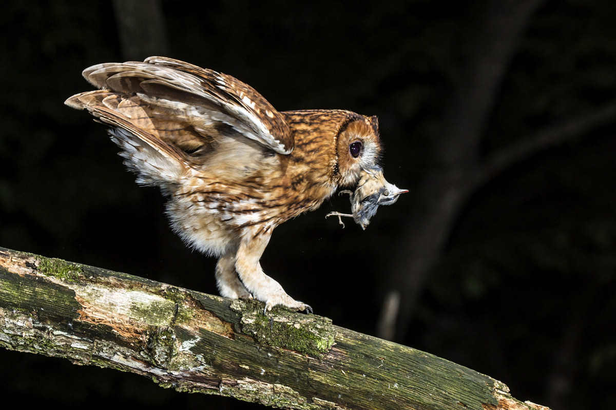 Red-brick patch with brick masonry bottle