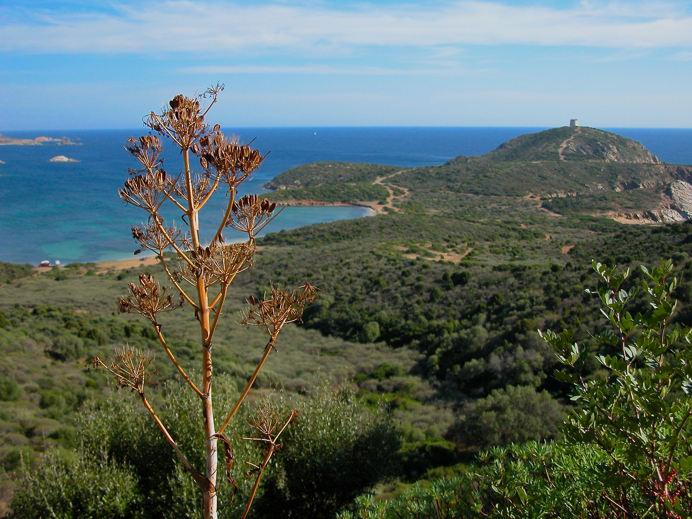 Sardinian tower