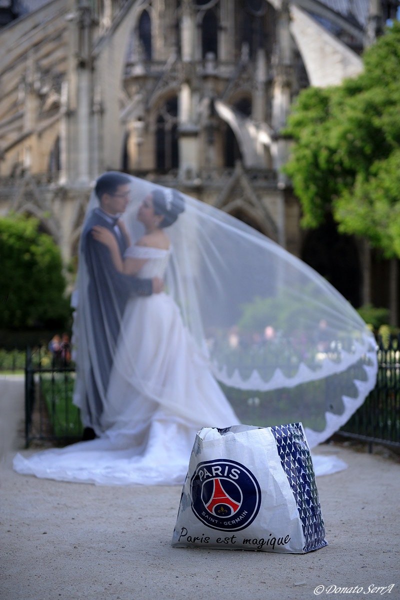 Paris is in love ... Paris is magic!