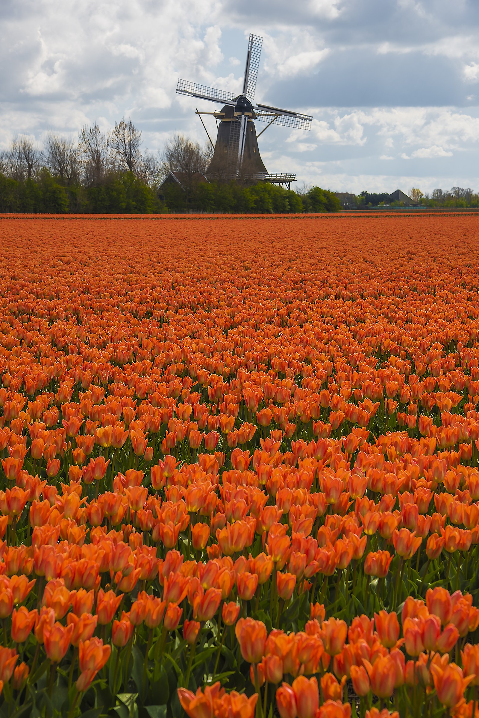 Netherlands April 2017