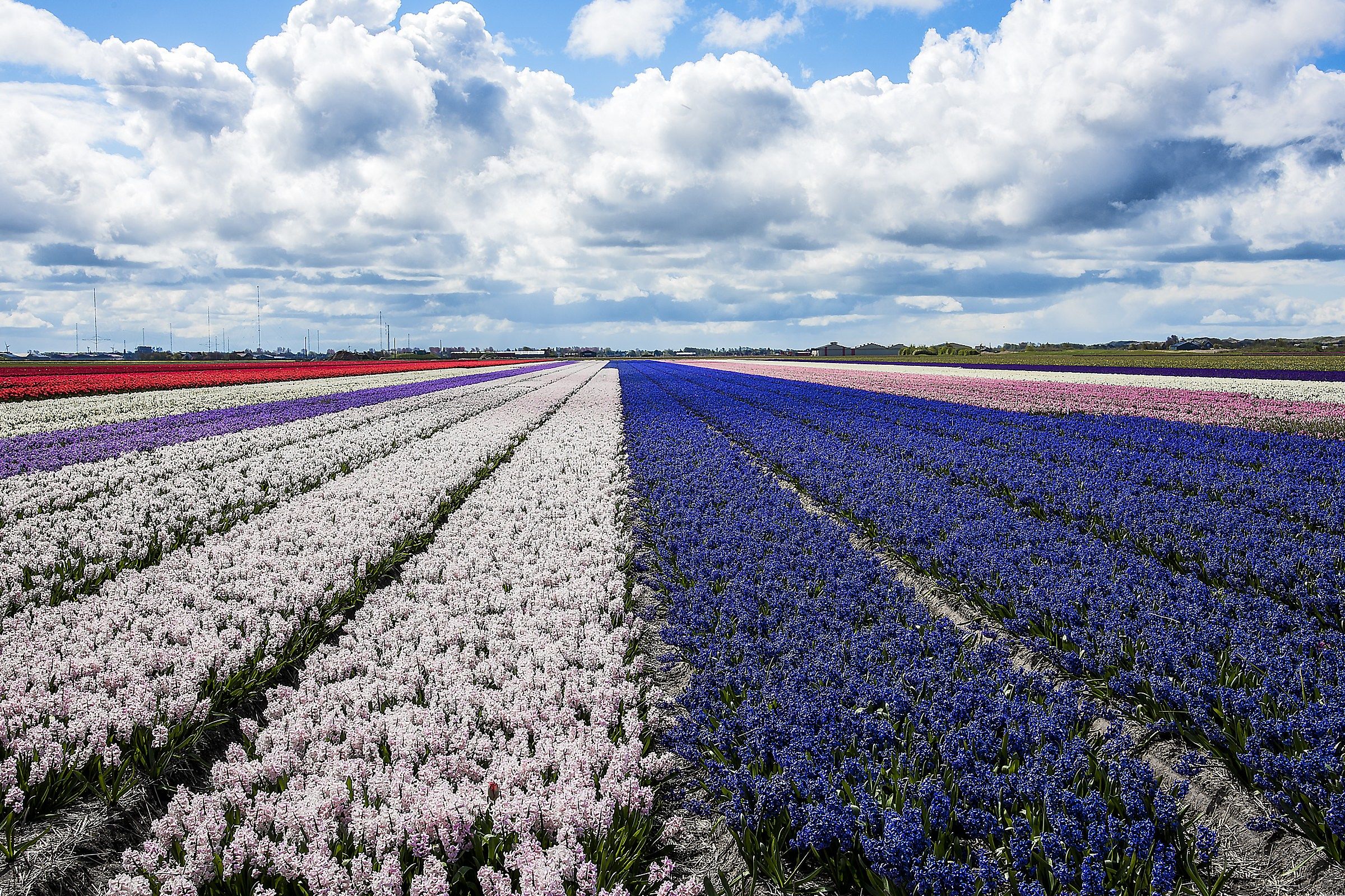 Netherlands April 2017