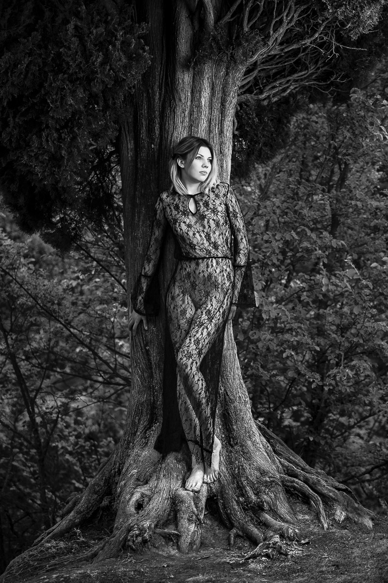 The fairy of texture