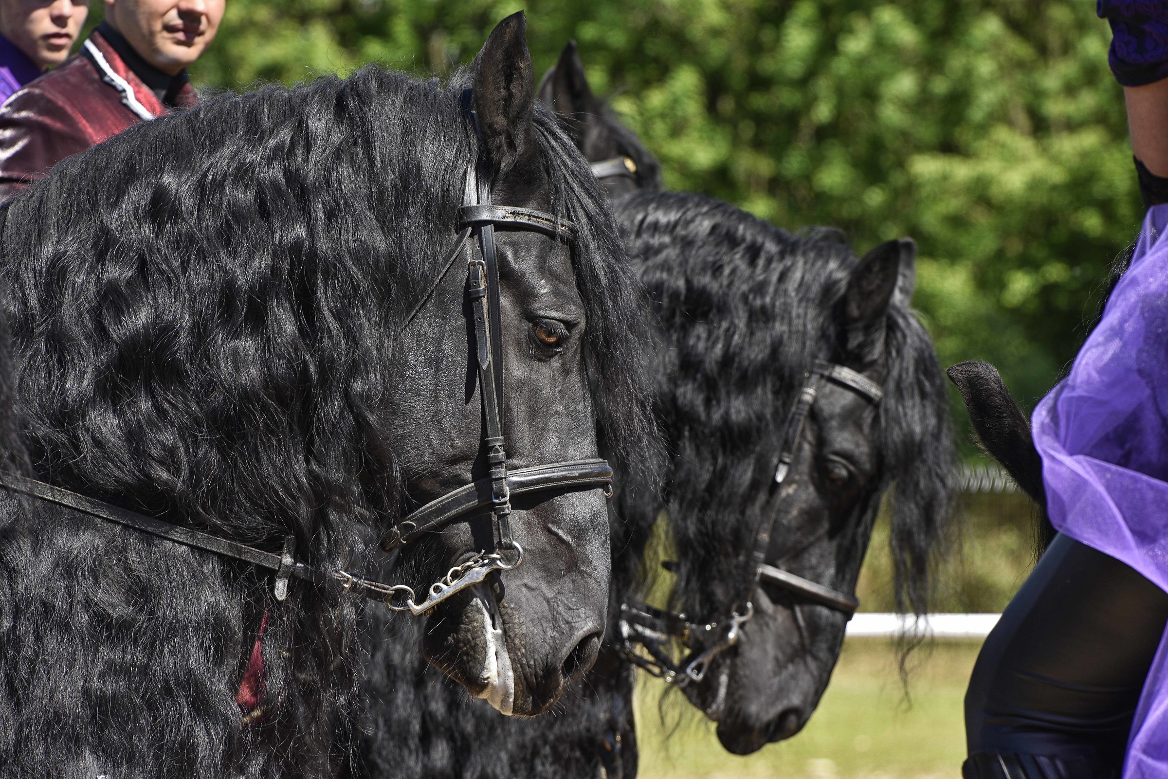 Pronti a rappresentare