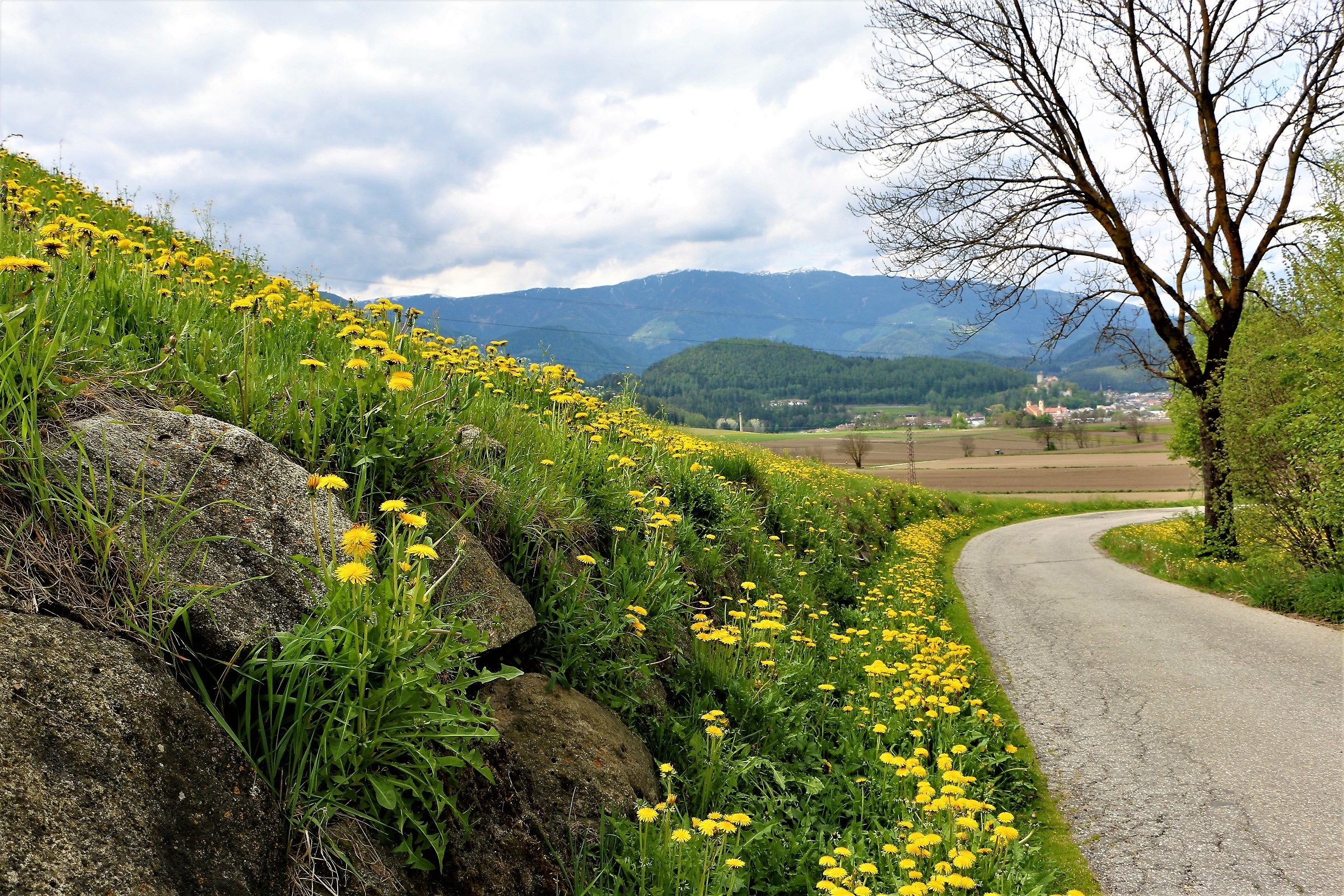 Spring begins on the Brunico fields