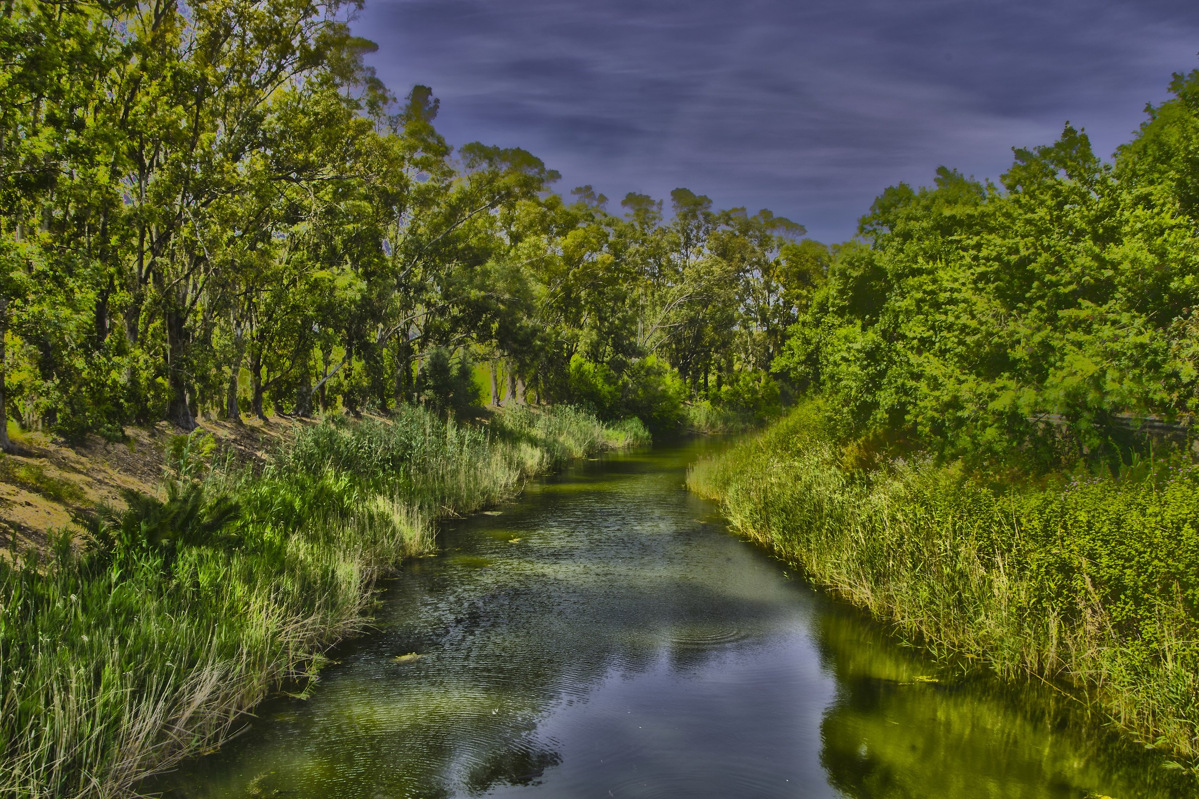 Fiume Ciane Siracusa