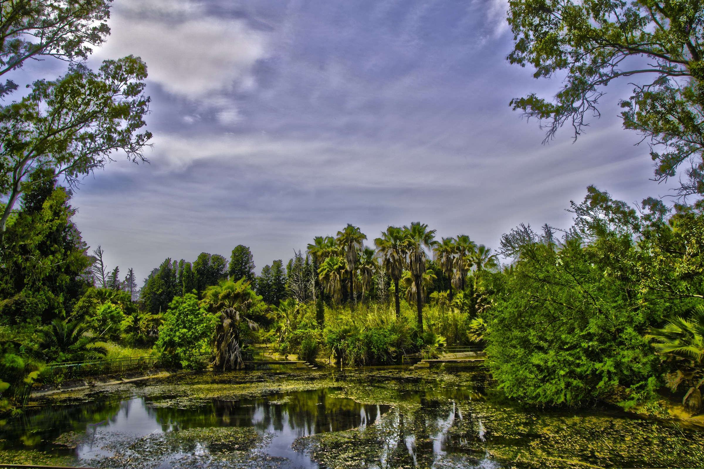 Fiume Ciane Siracusa