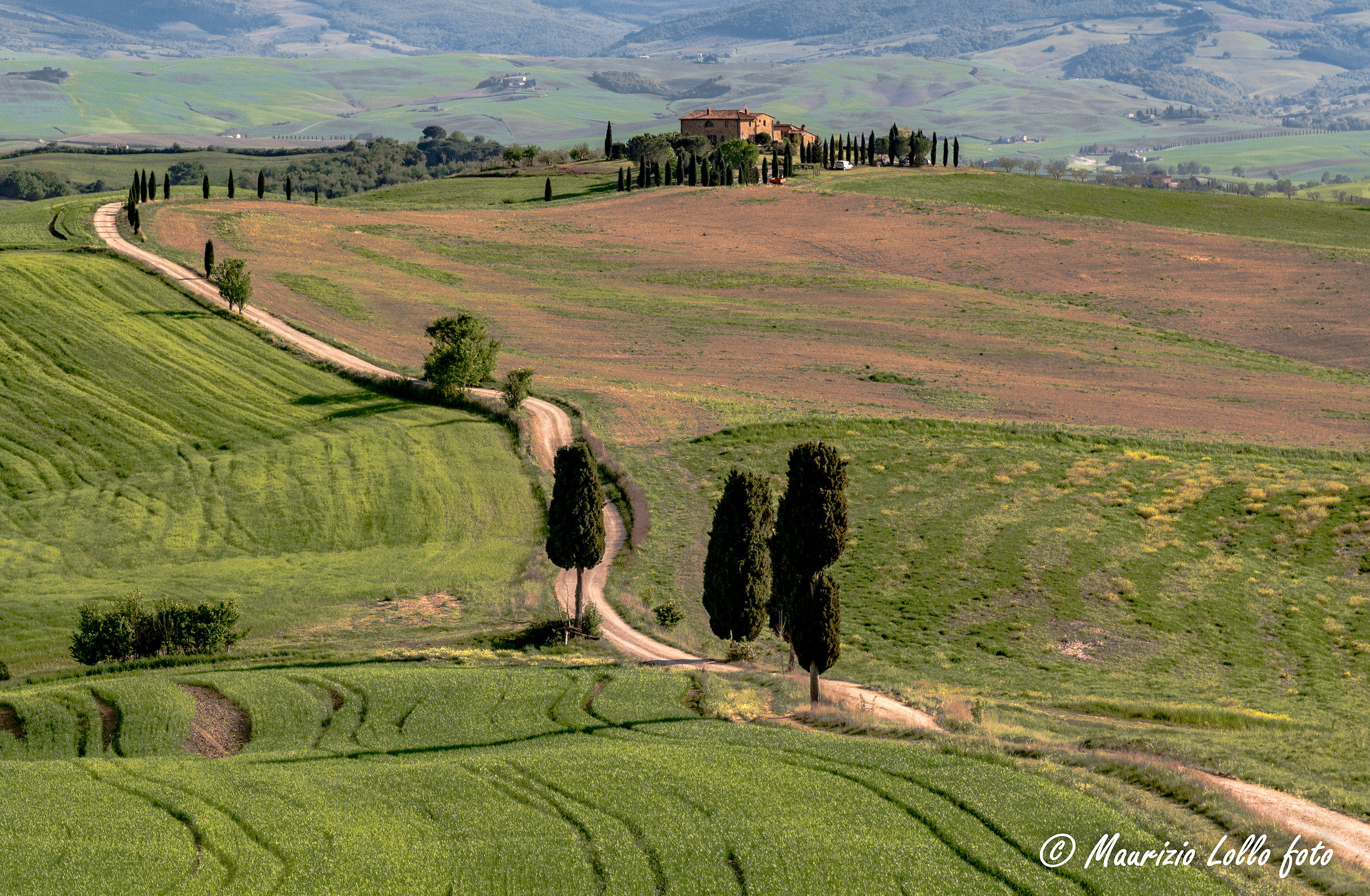Direttamente da 'Il Gladiatore'?