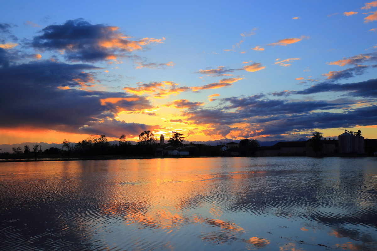 Tramonto in risaia 2