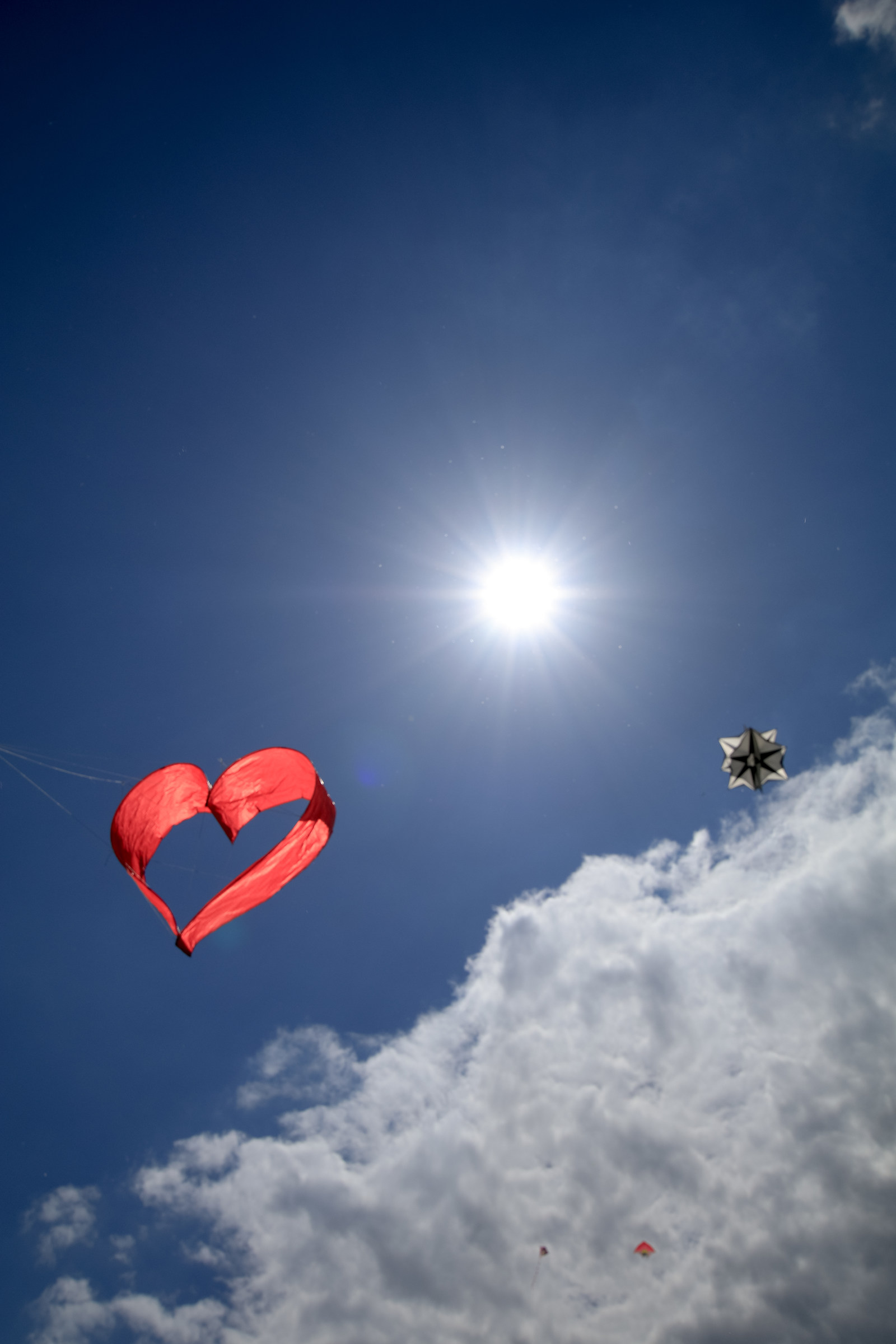 [simpaticamente]......sole cuore amore .....