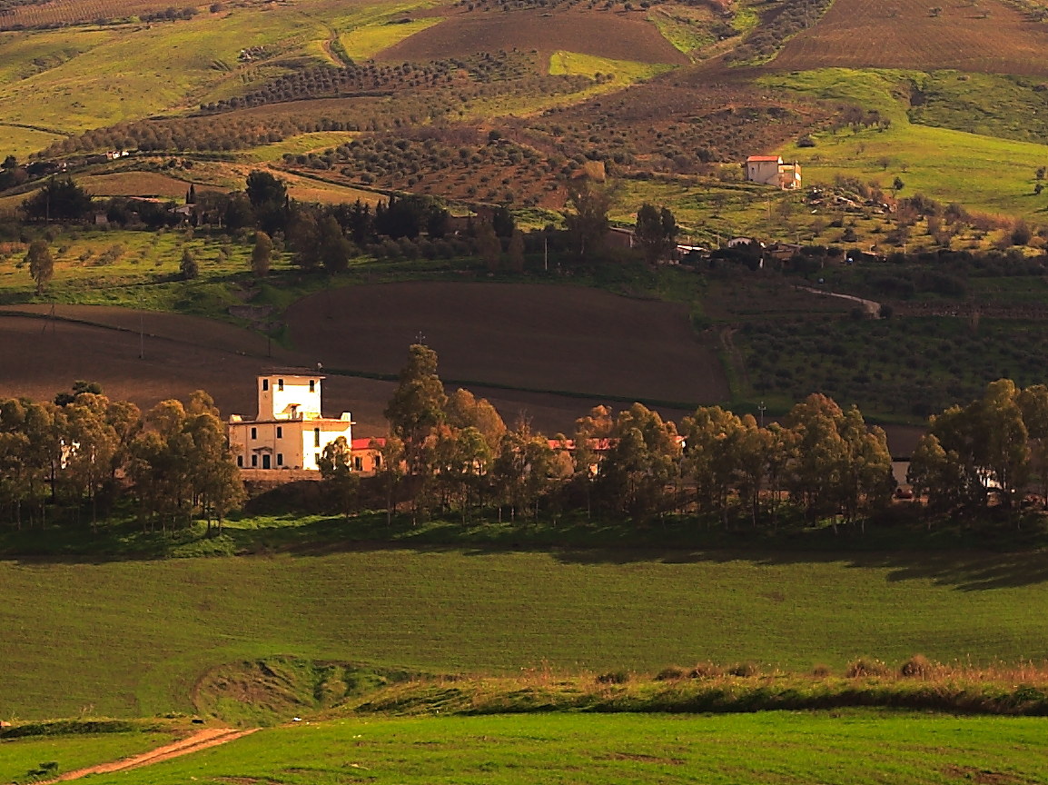 Countryside landscape.