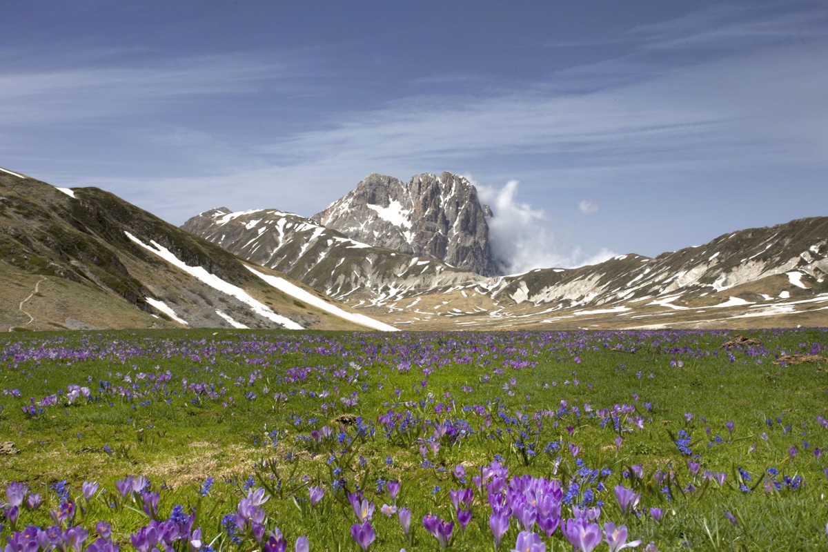 The world I want ....