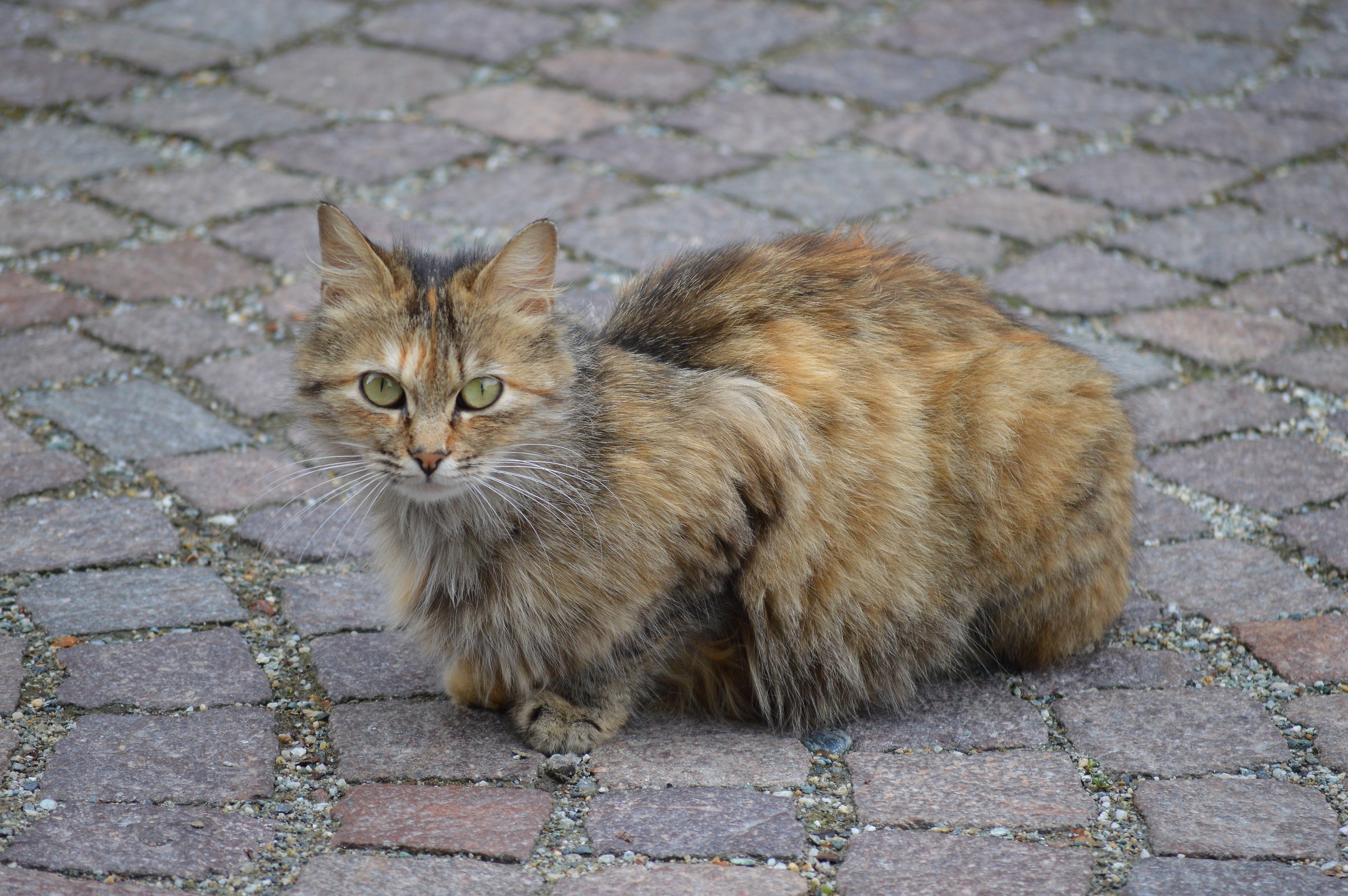 Well..? what are you doing? Do you mind making a picture?