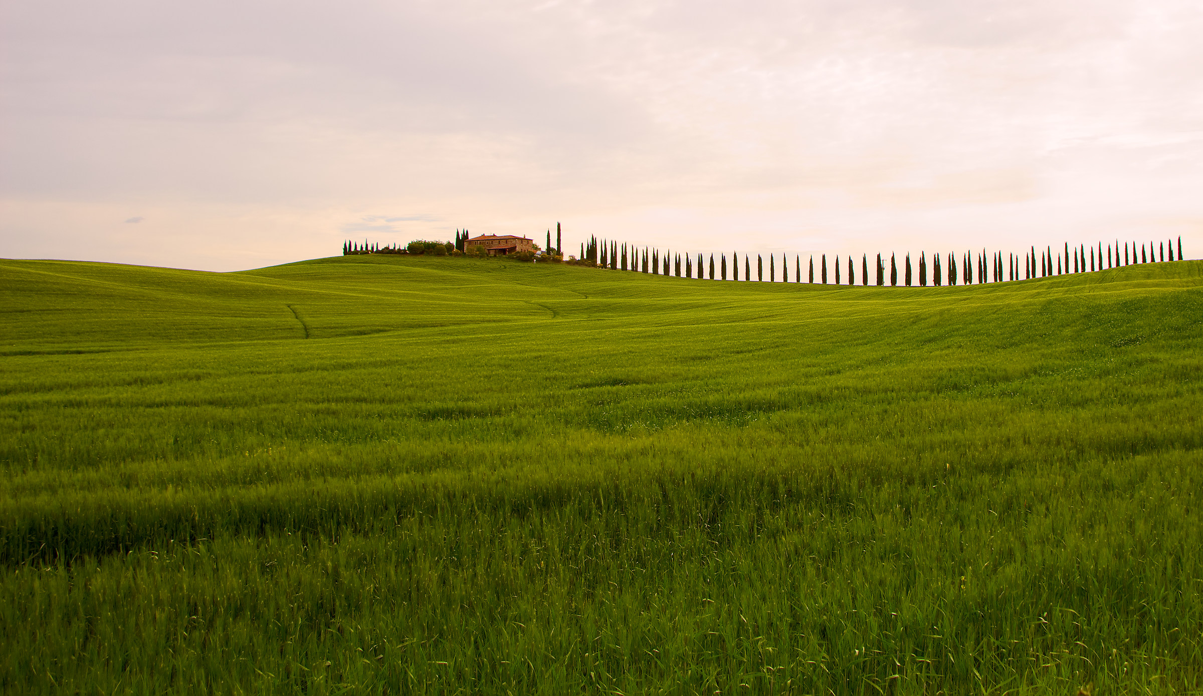 Tuscan Wide Angle