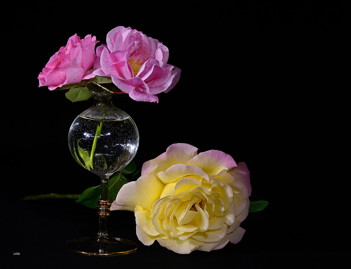 A jar too small for you