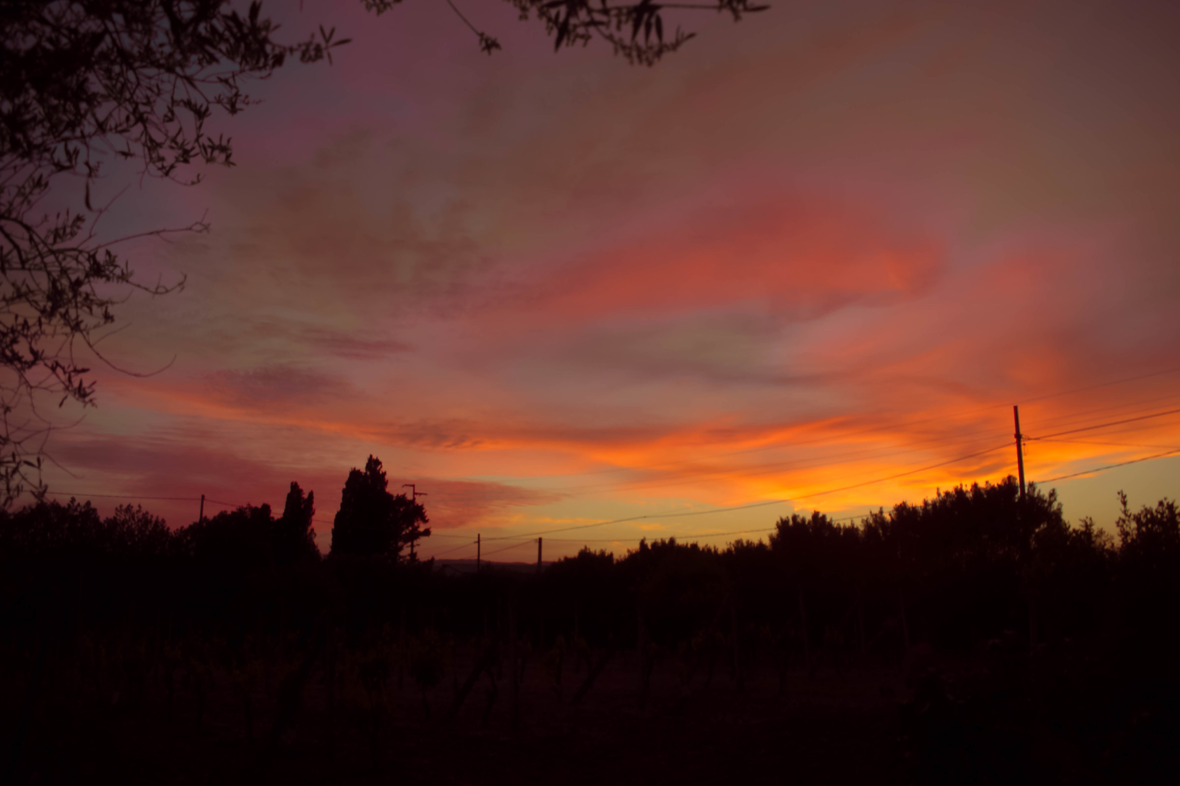 Sunset in the countryside