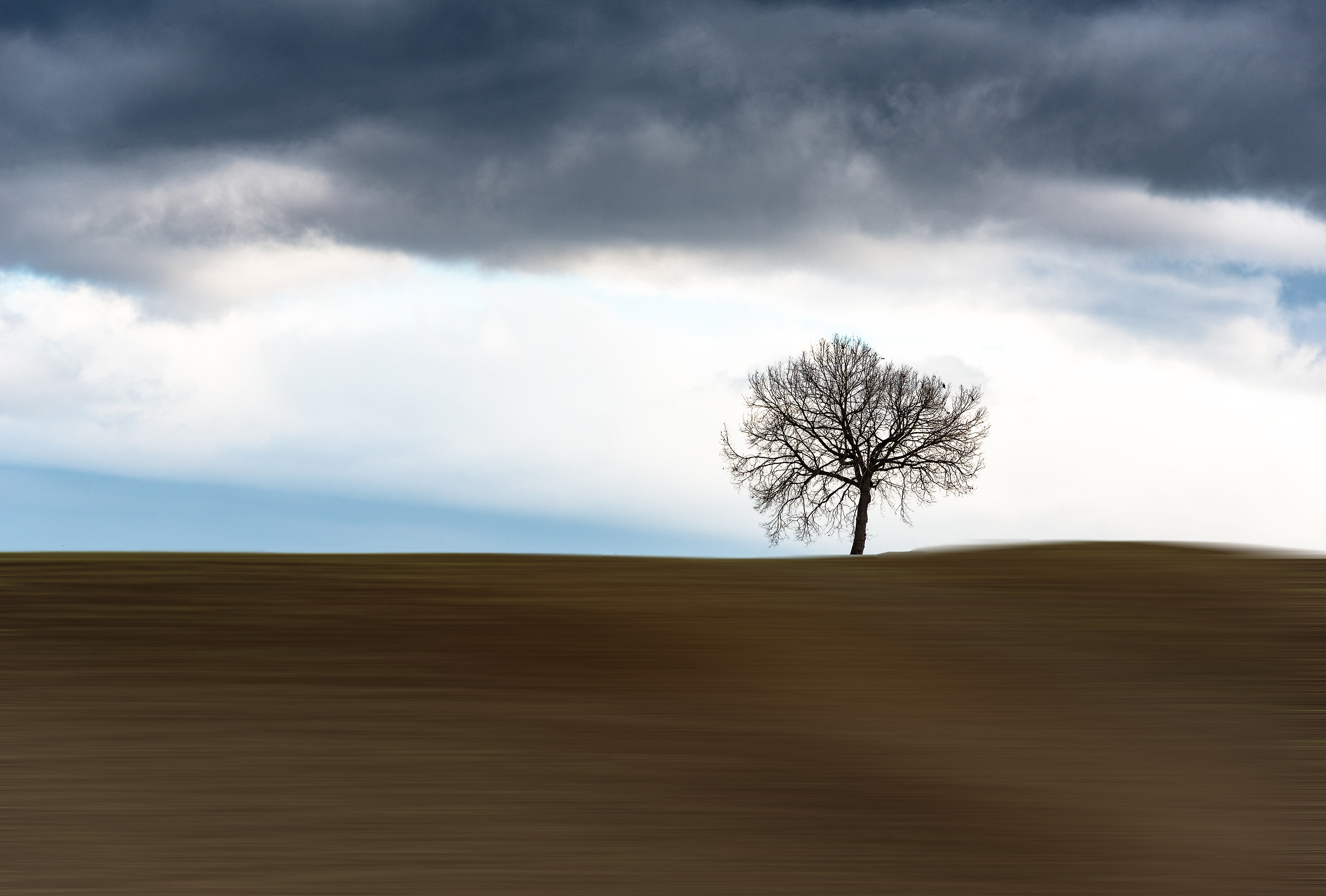 Tra staticità e dinamismo