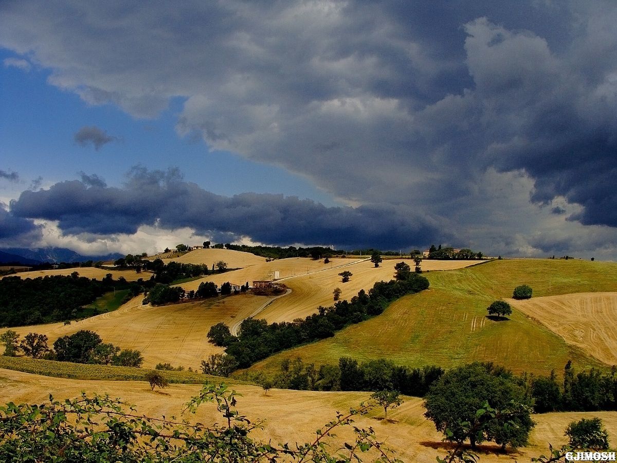 High Hill Marchigiana