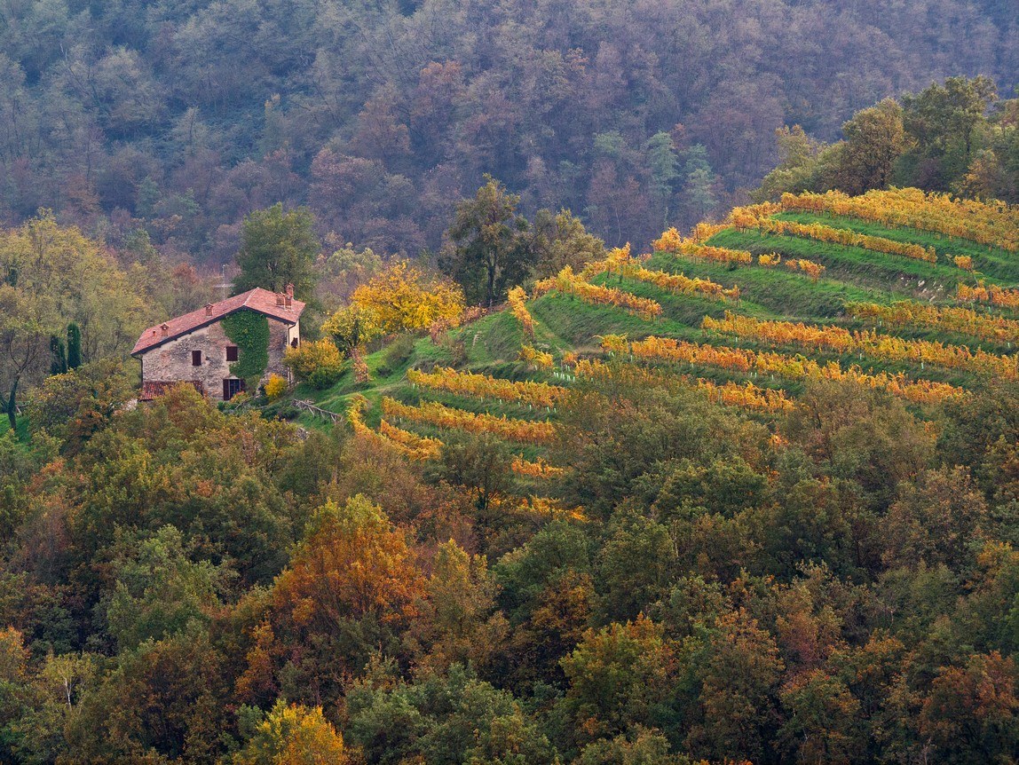 Park of the Curone 01