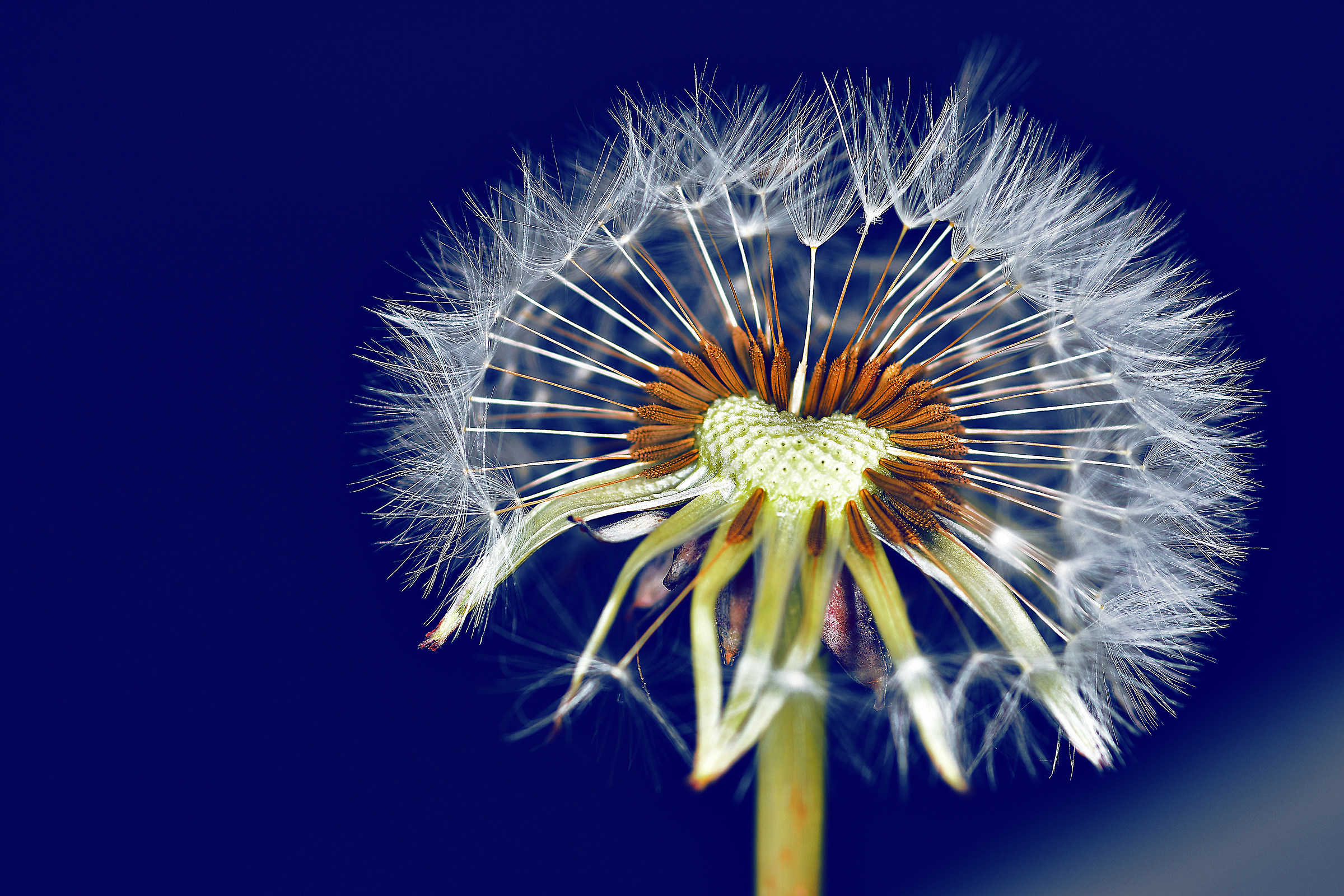 Early morning .before wind