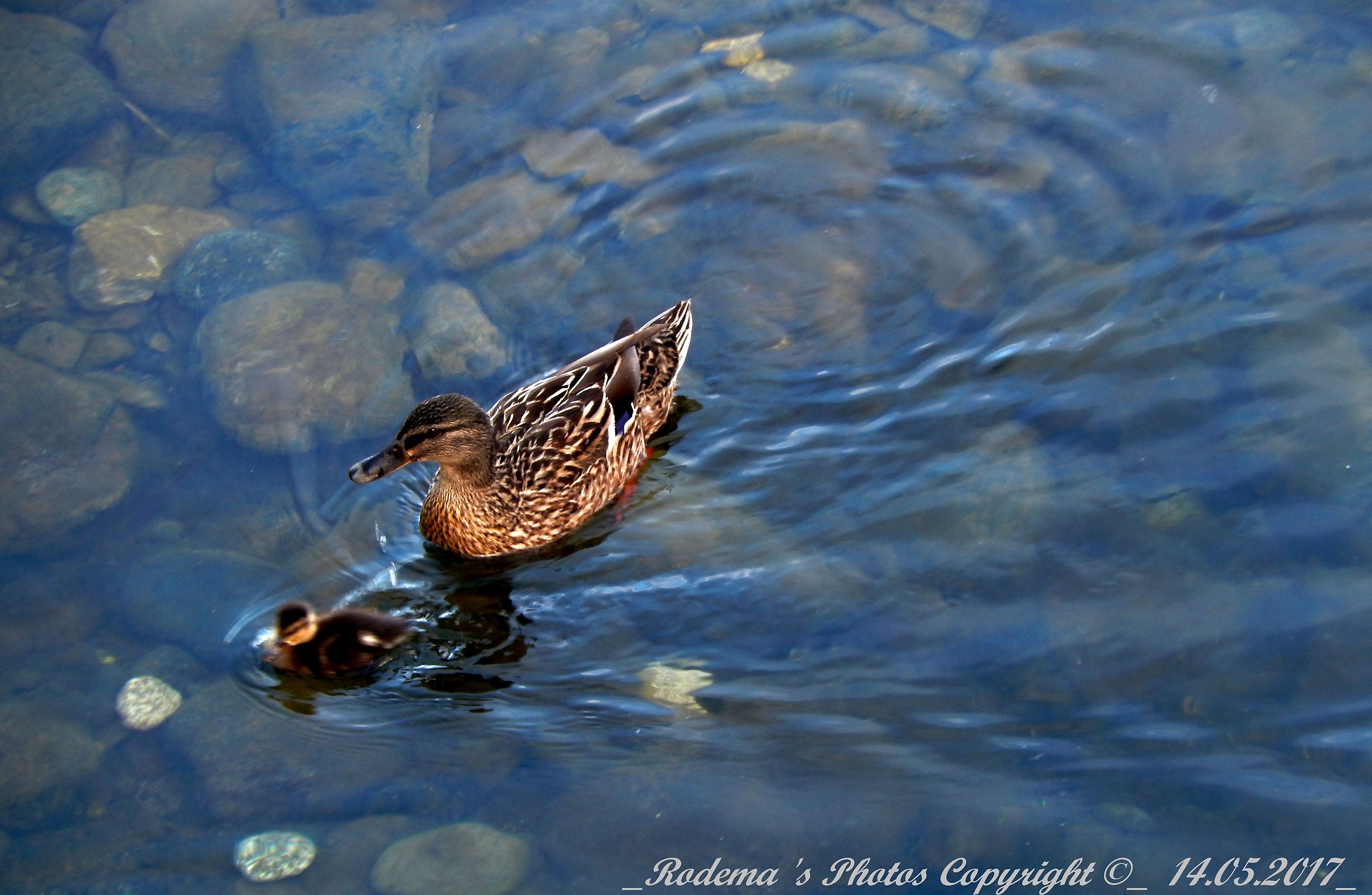 .. are all beautiful moms in the world ...