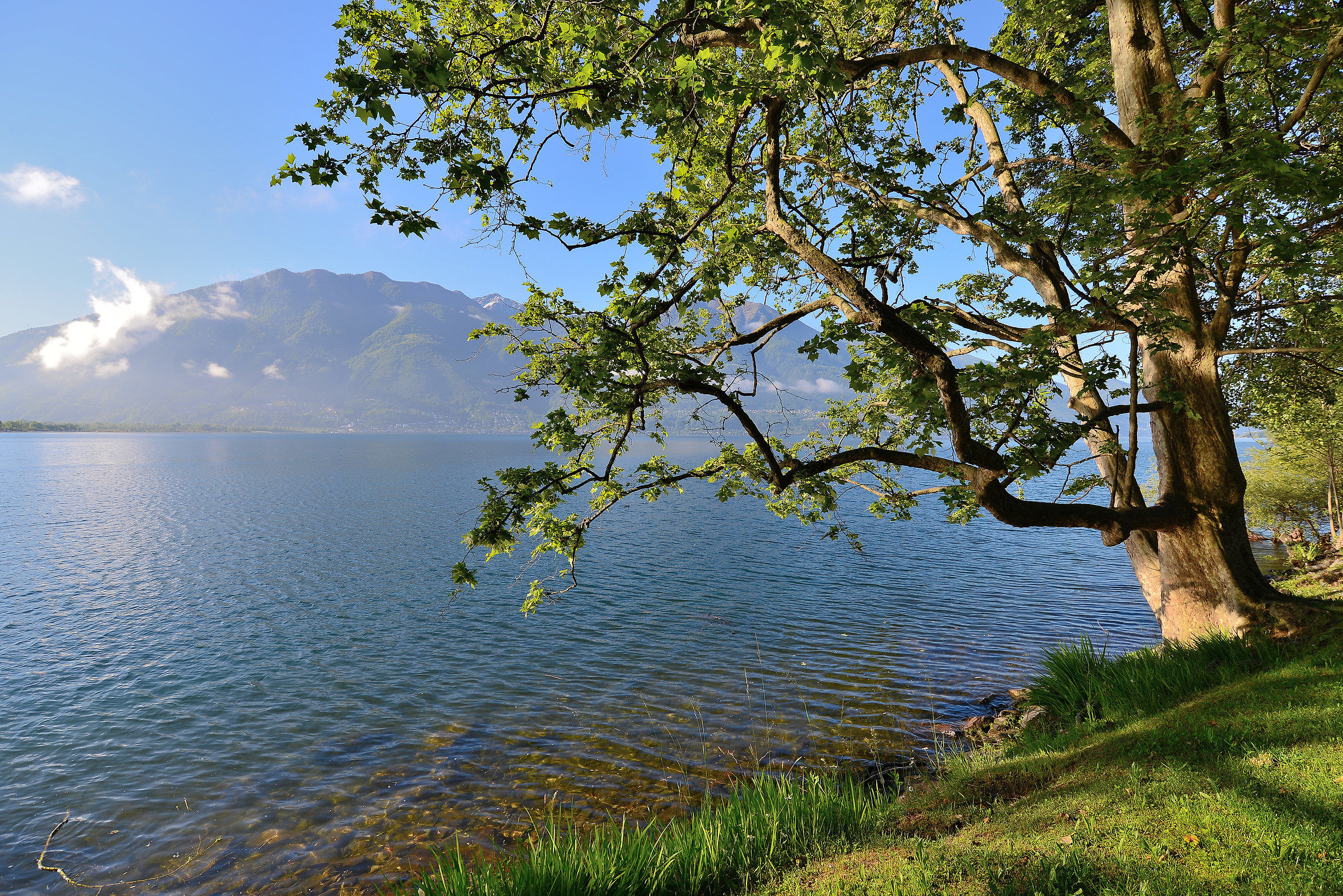Minusio, Lake Maggiore