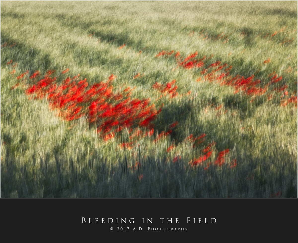 Bleeding in the Field