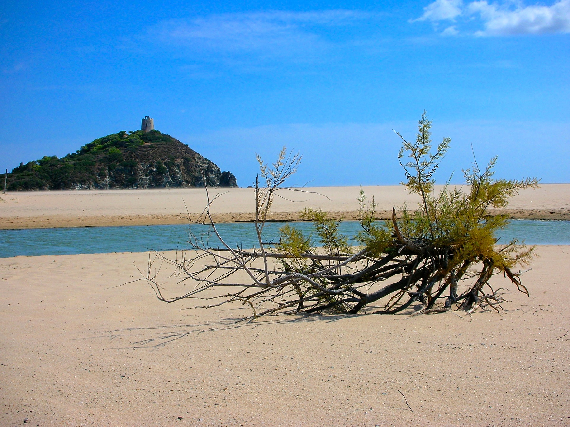 Chia Tower from the pond