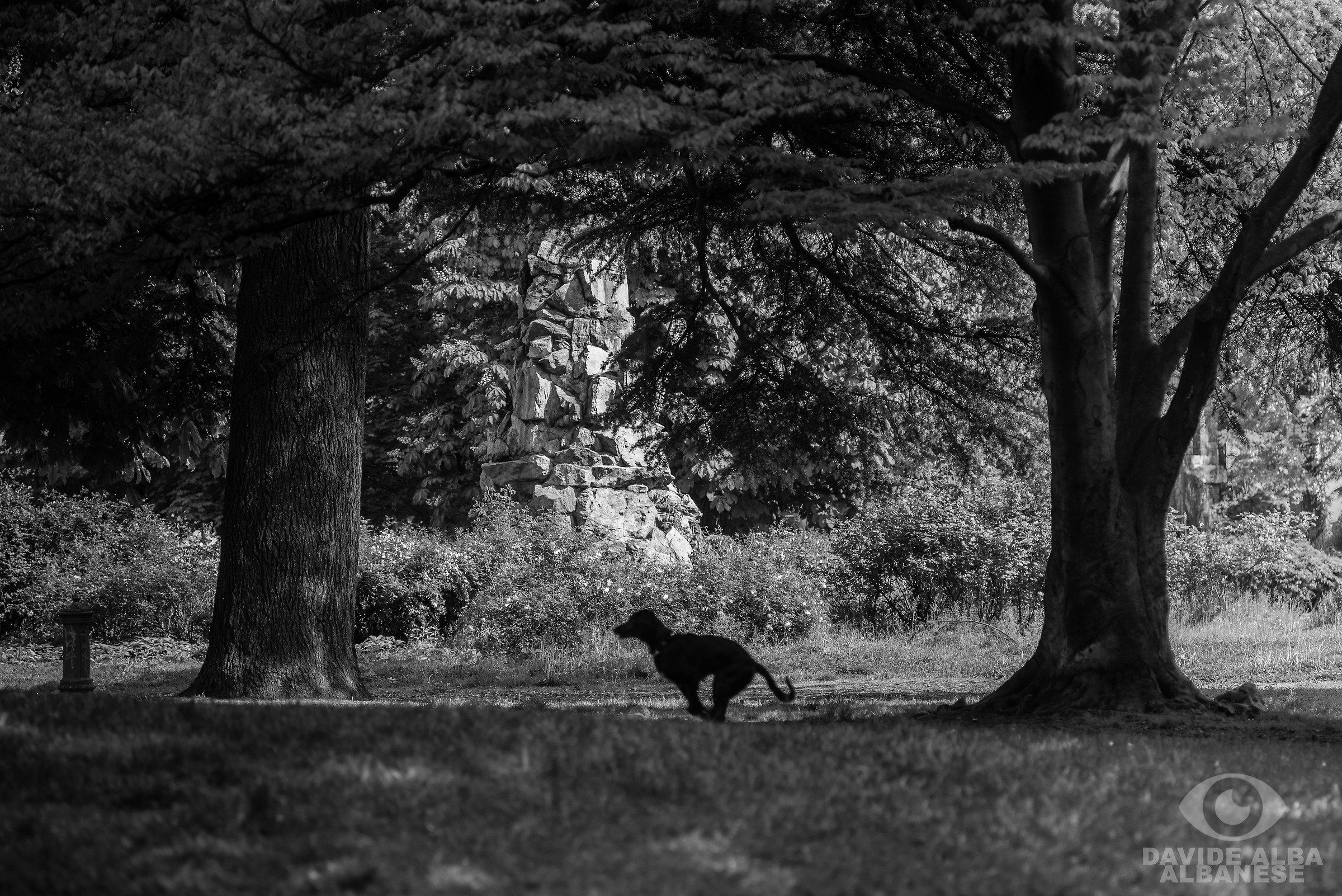 A passeggio con Keyla