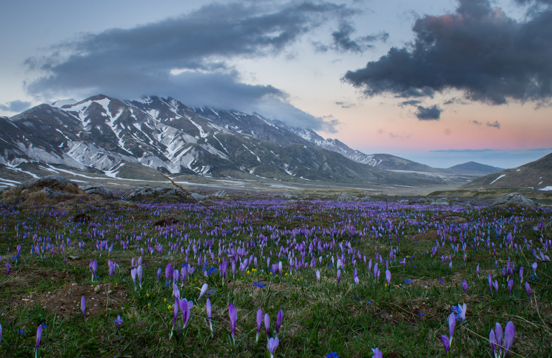 Emperor Field 14/05/2017