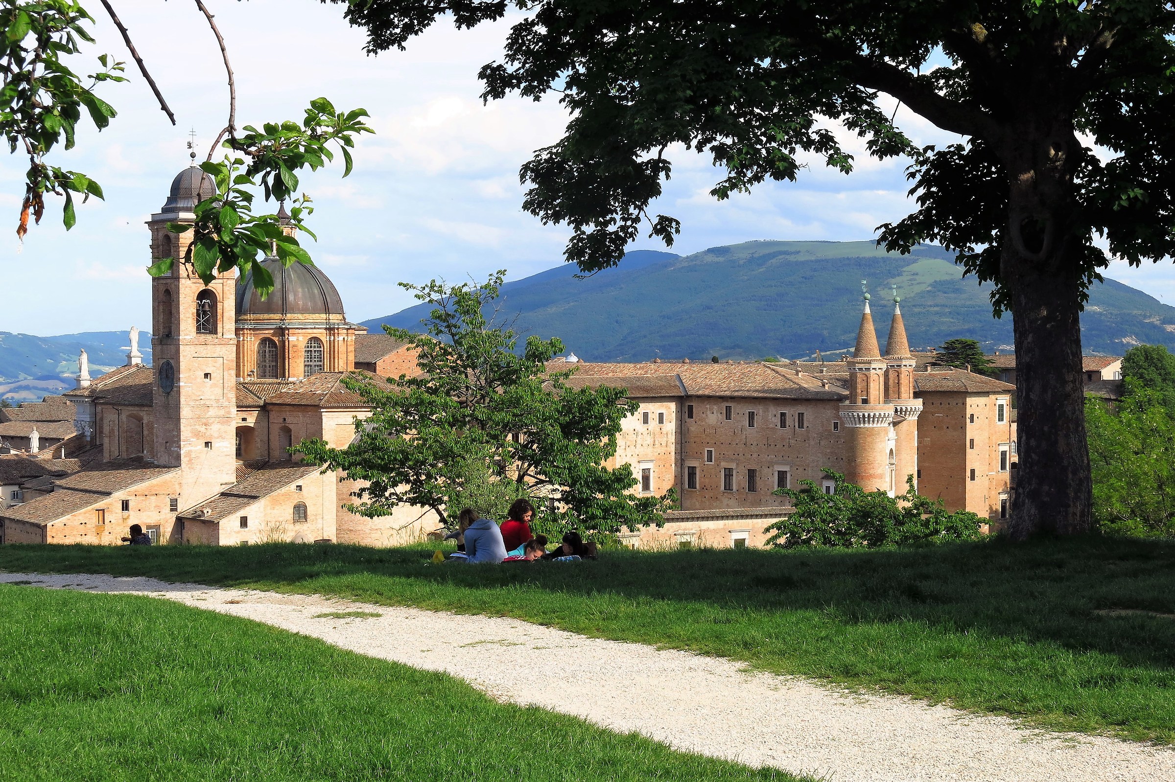 urbino