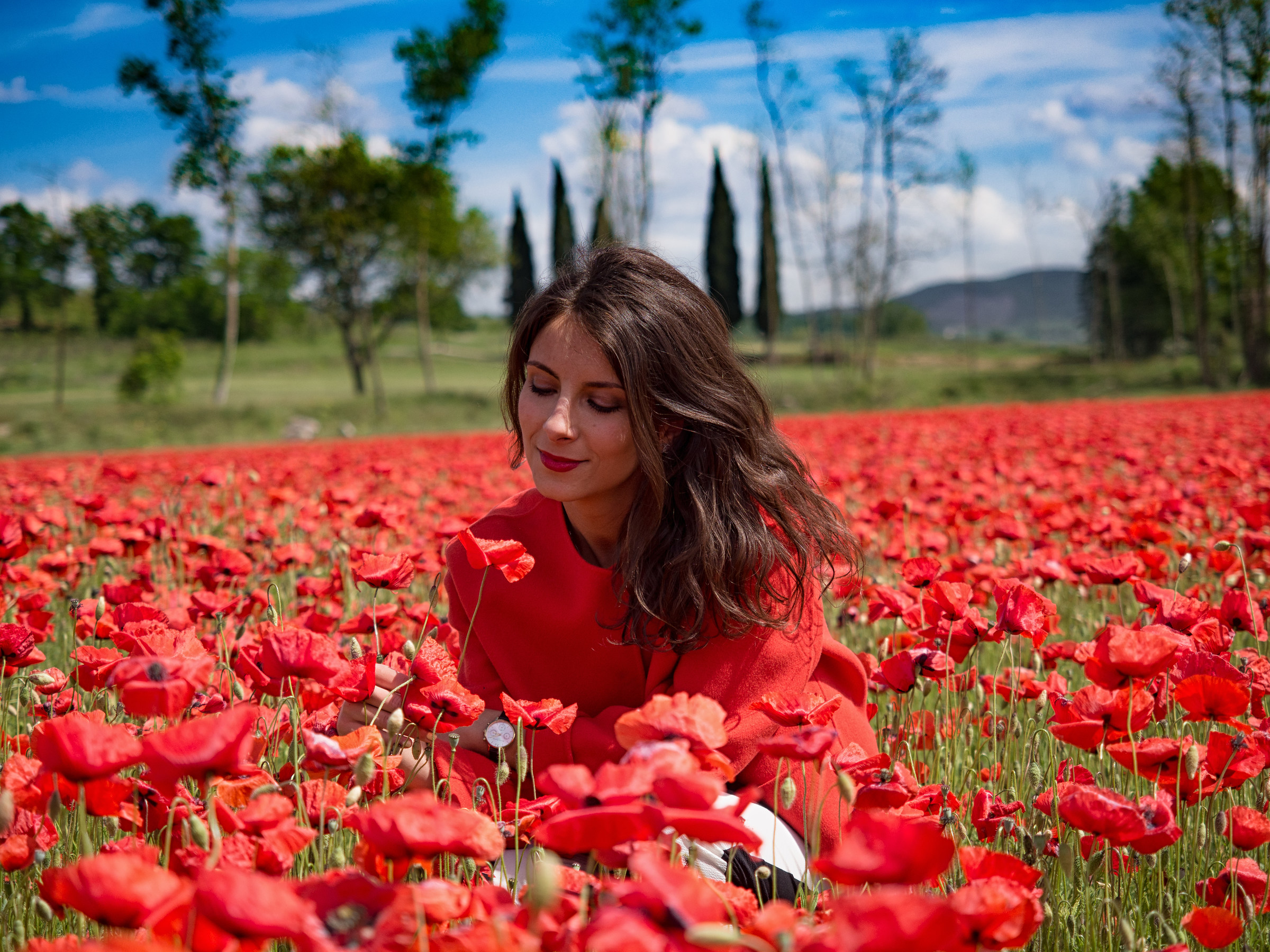 Do you know that the poppies ...