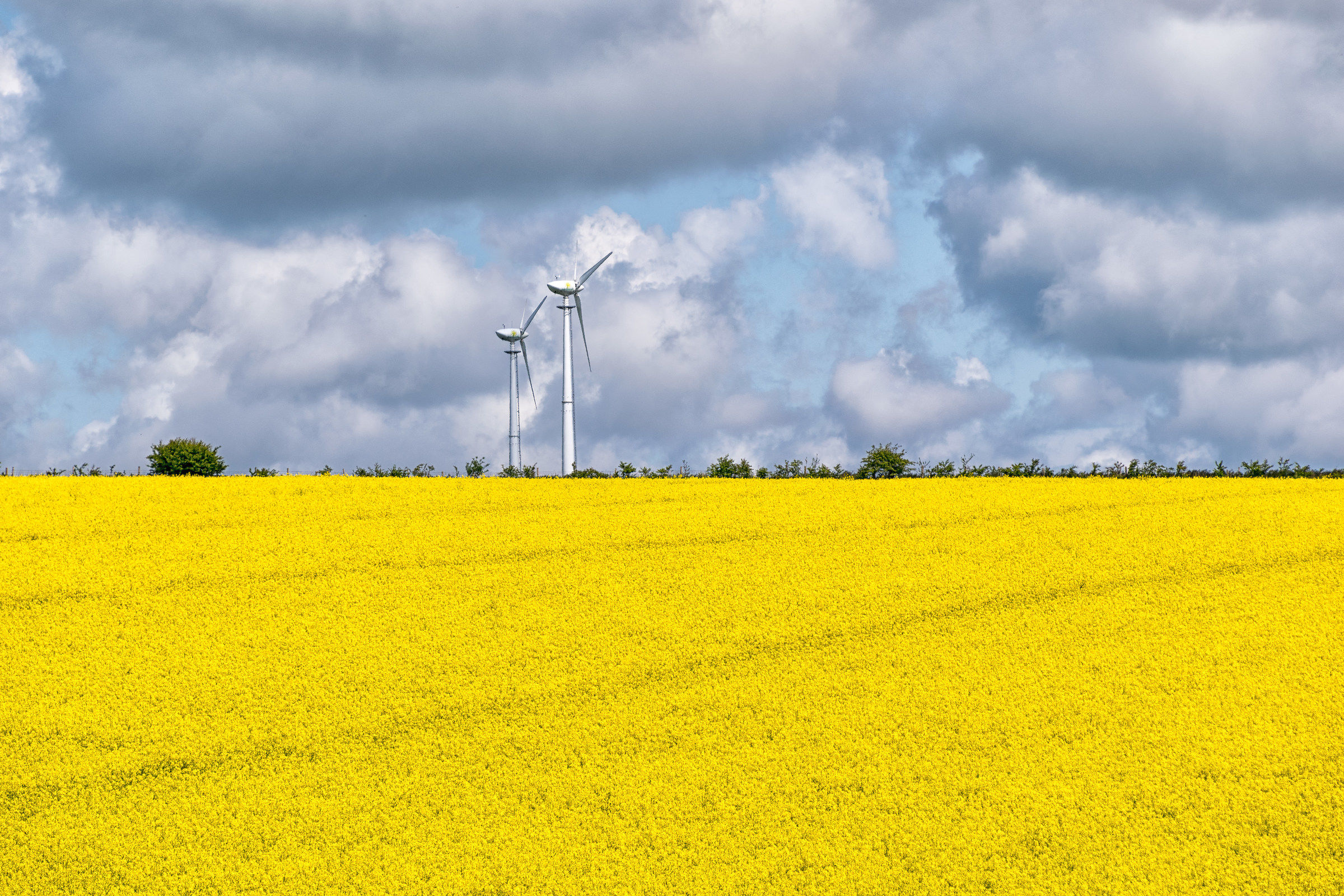 Slim Giants che sorgono al di sopra del paesaggio