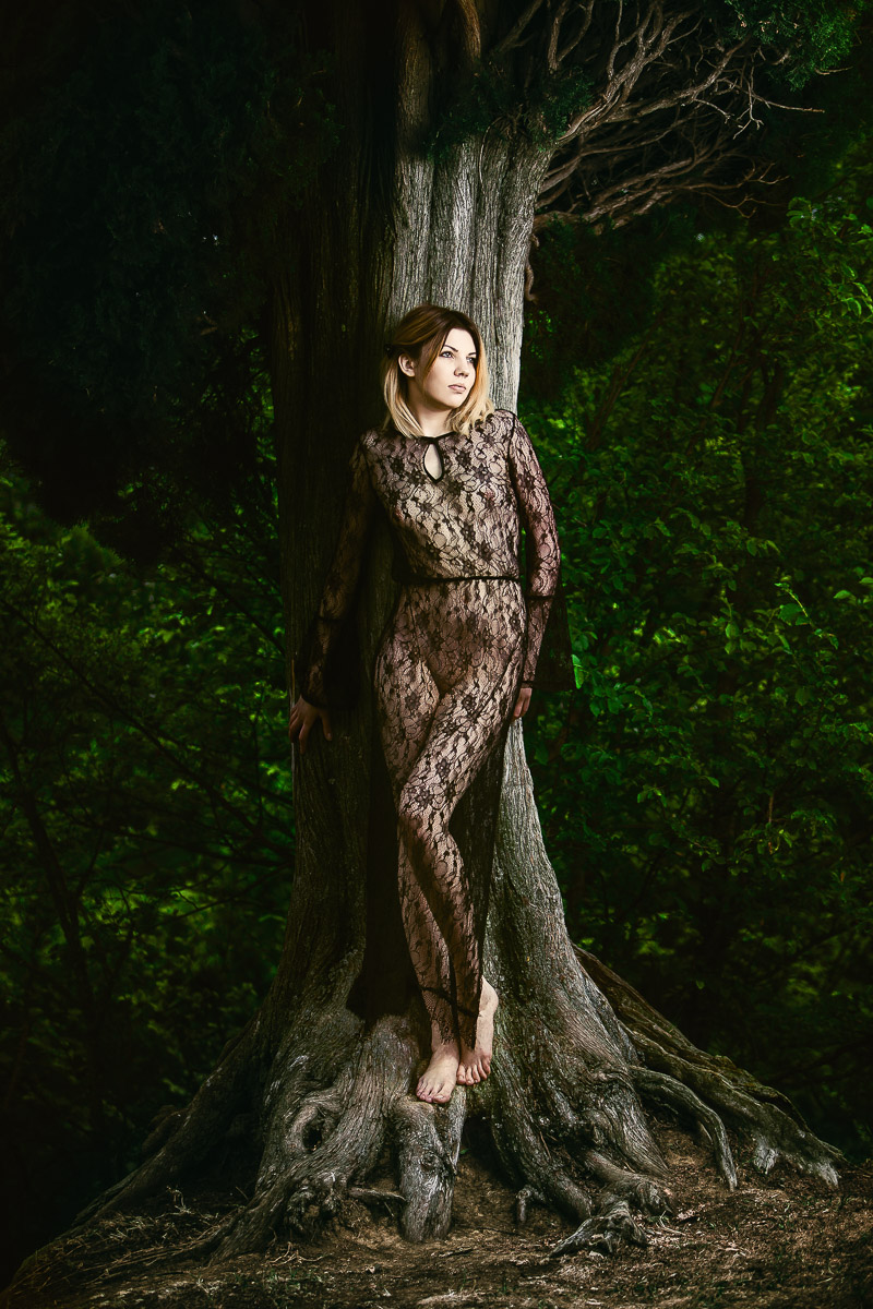 The Fairy of Textures (colori)