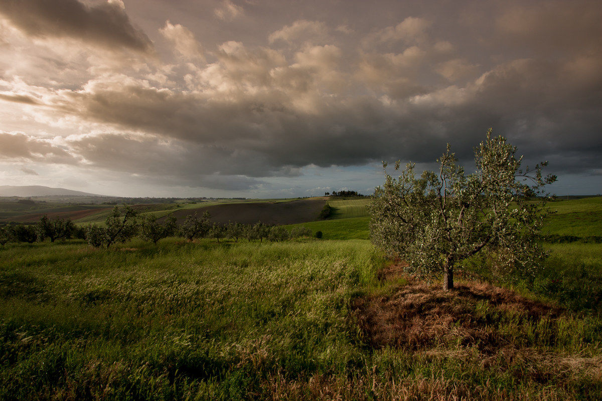 Maggio sui colli pisani ...