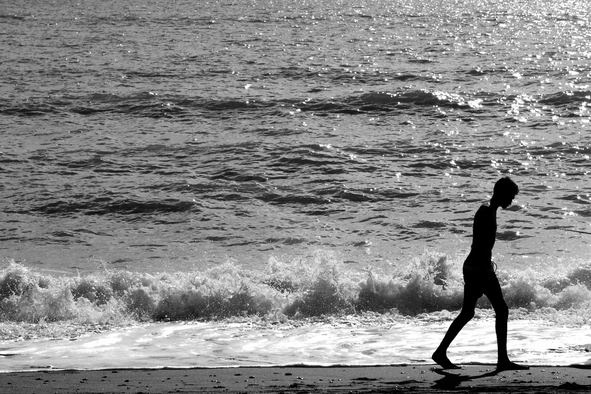 Passeggiatore pensante