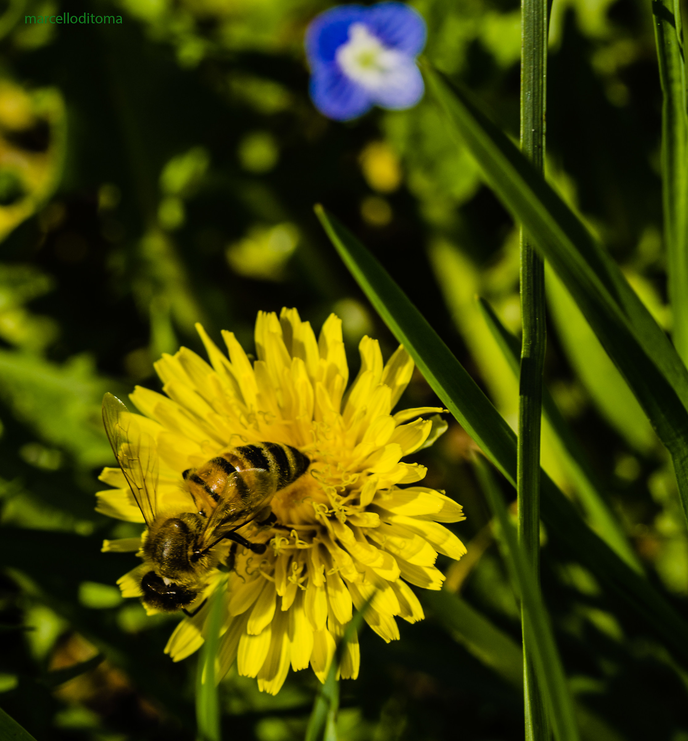 Mmhh !! .. quanta stuff !! ..