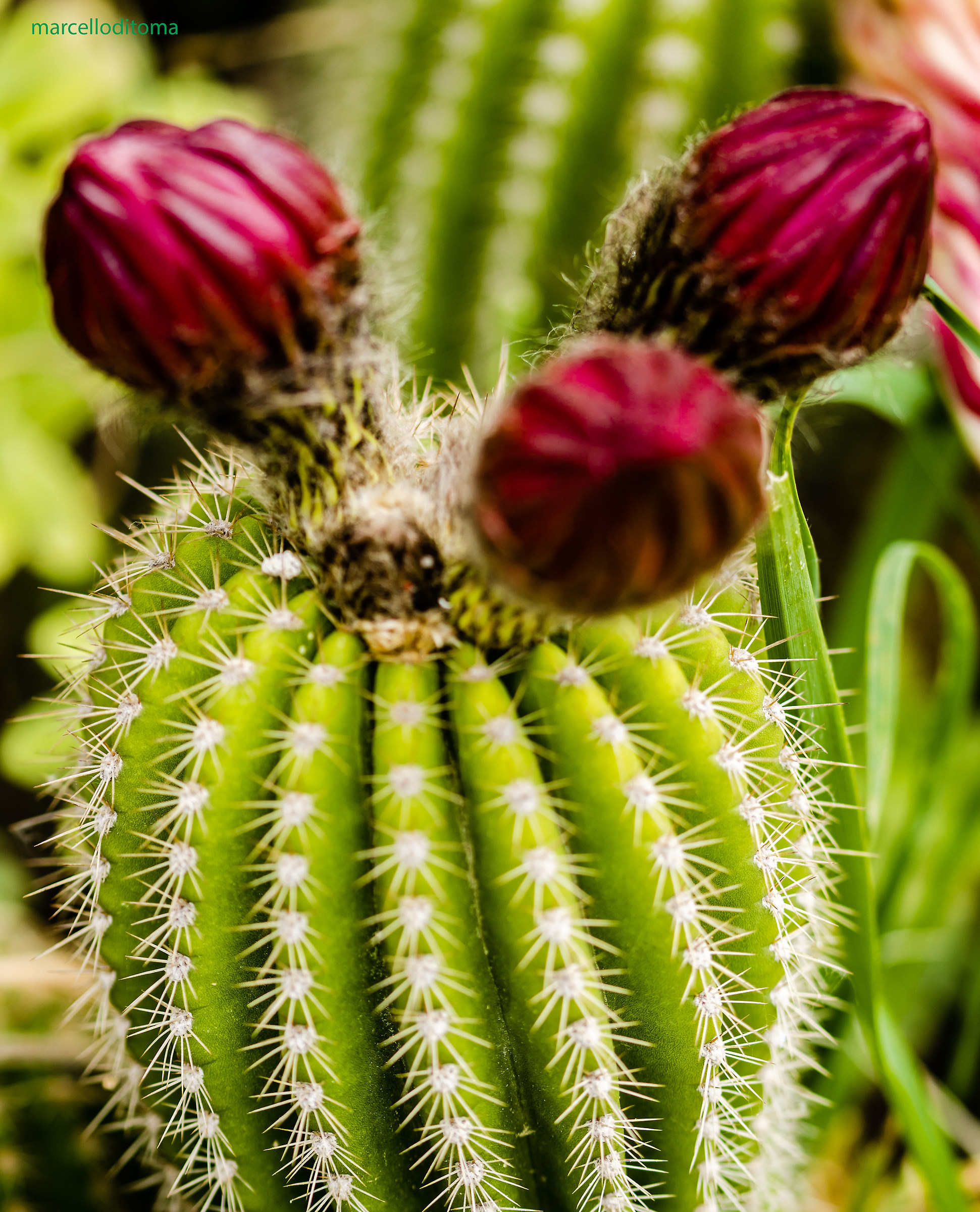 I told you I was closing! ..