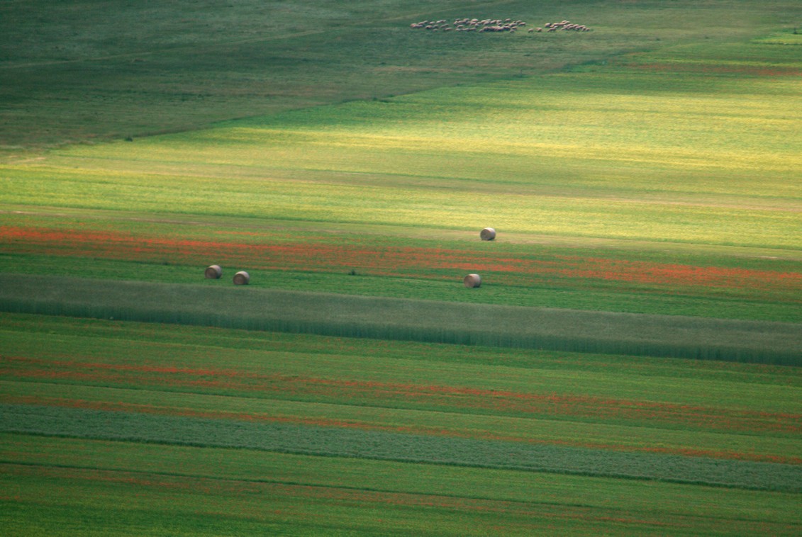 Castelluccio Di Norcia 02