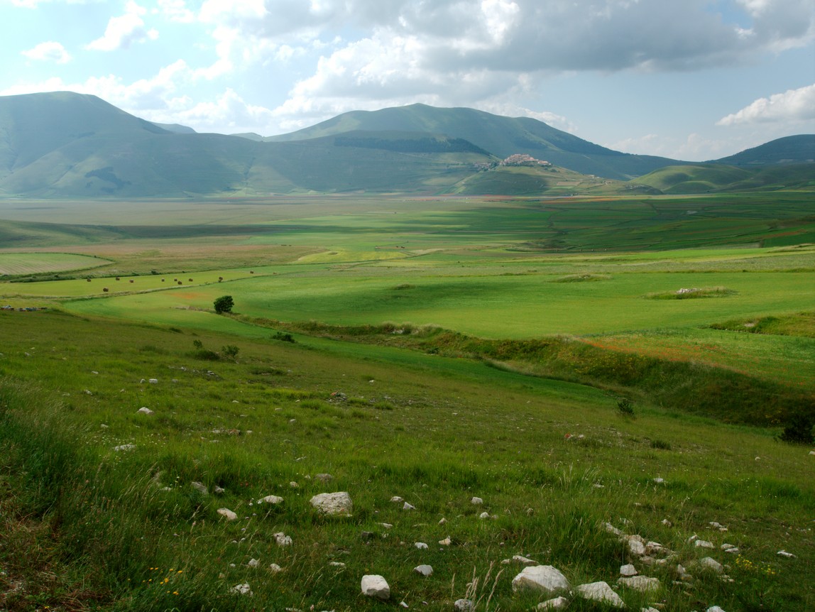 Castelluccio Di Norcia 03
