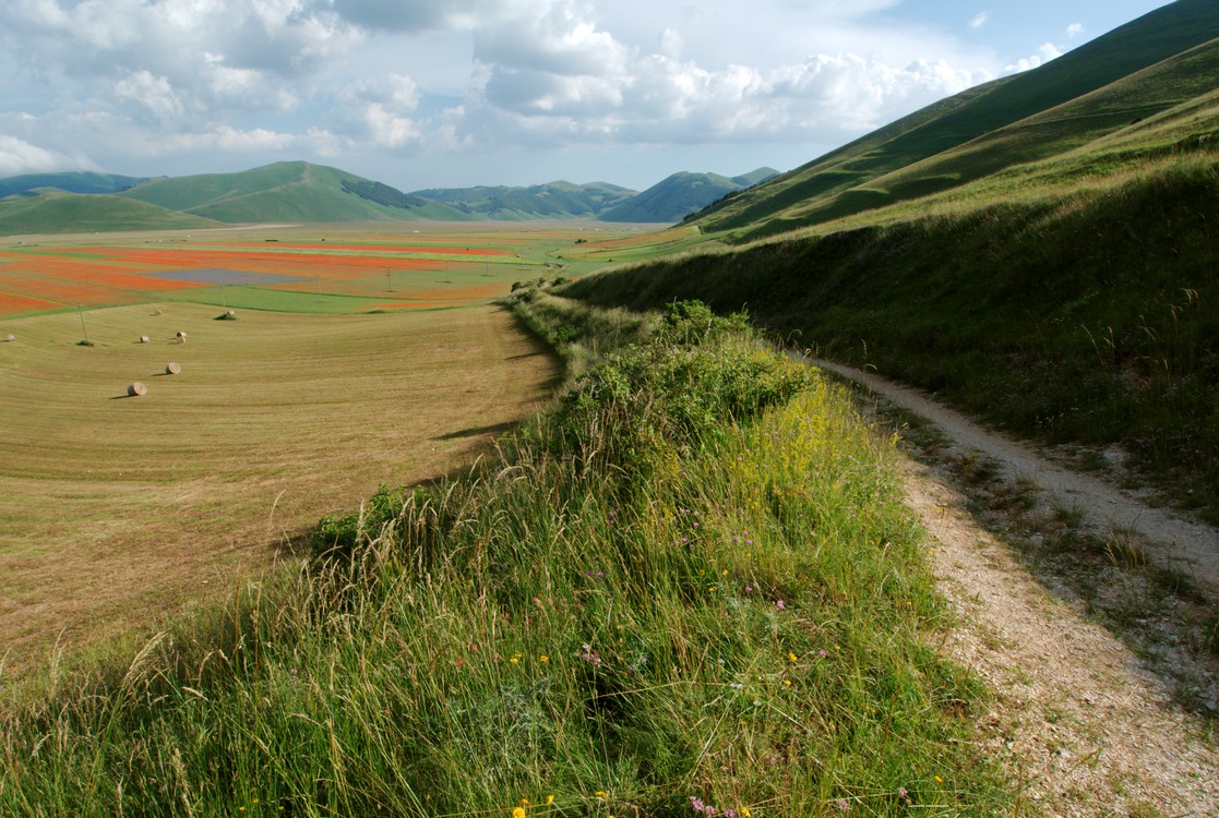 Castelluccio Di Norcia 09
