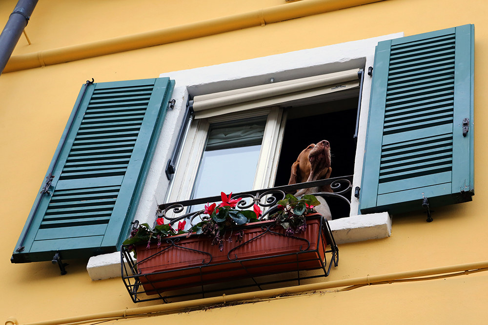 ............... alla finestra