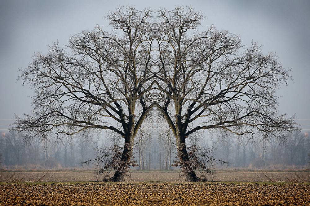 How many figures ............