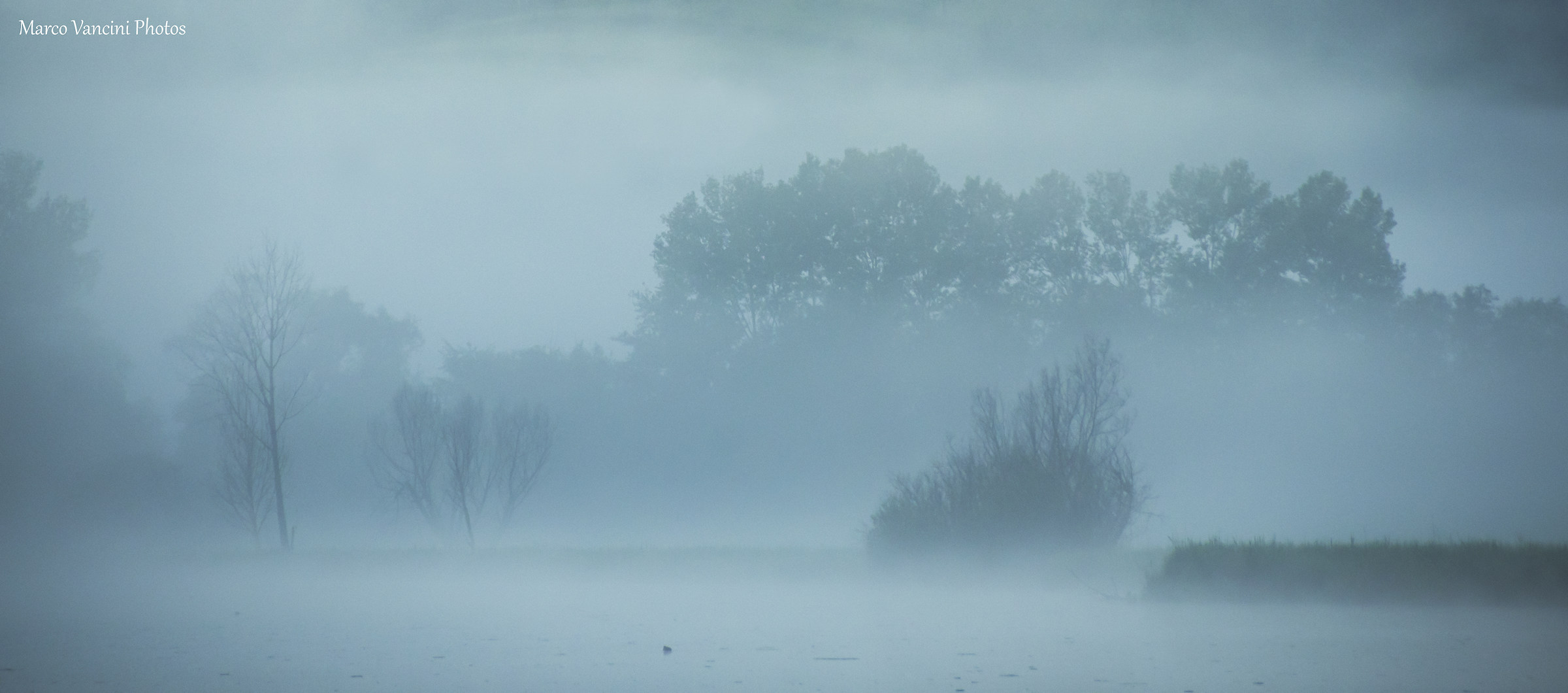 La nebbia del mattino
