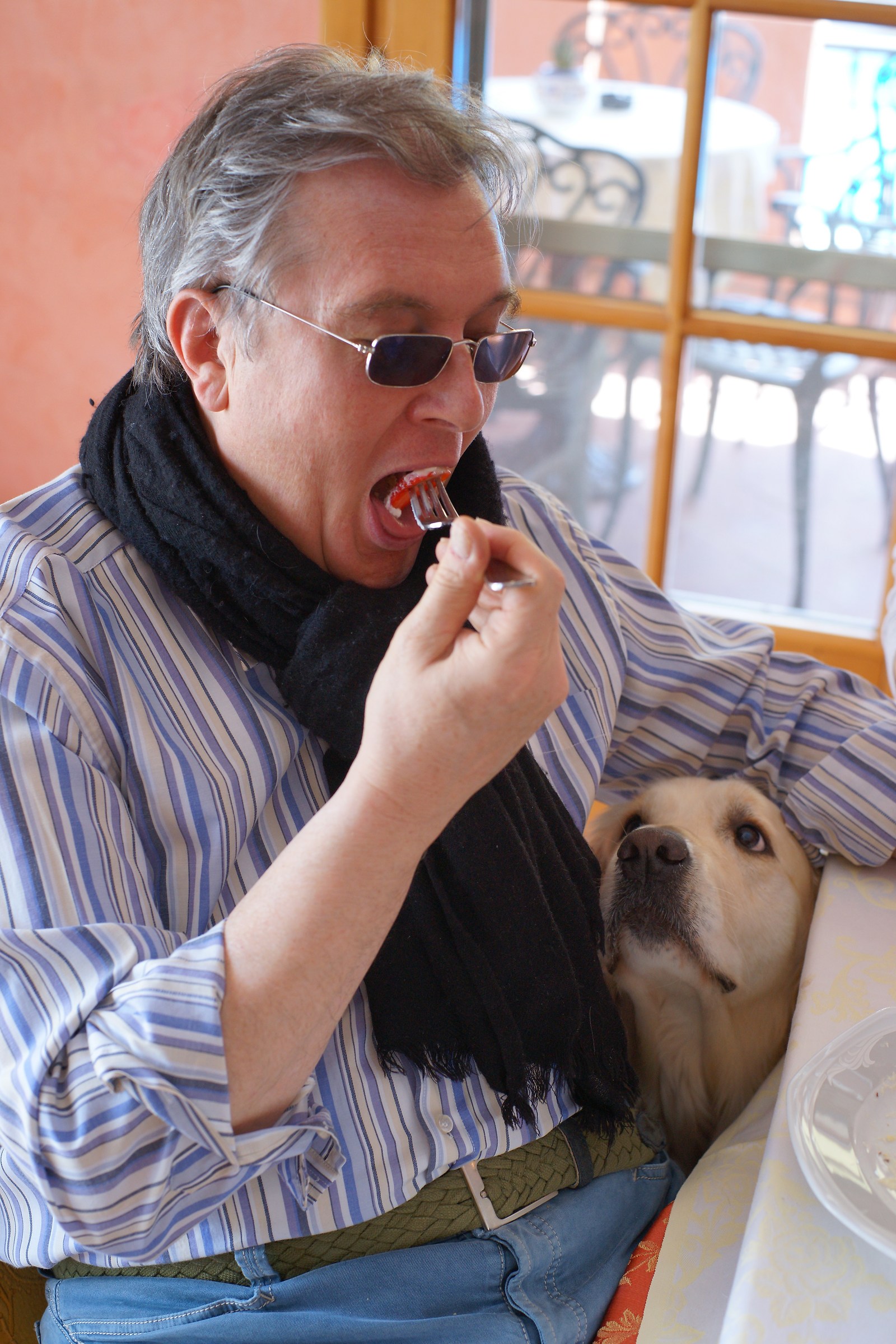 Babbino ... and for me?